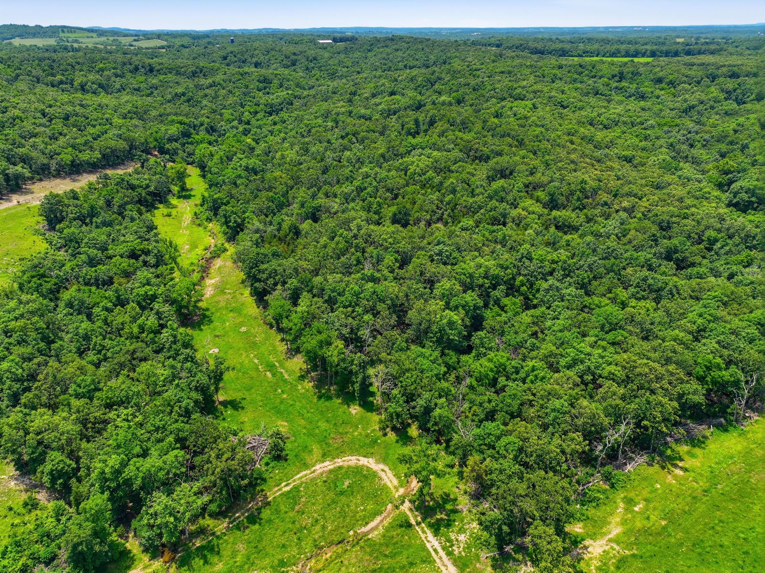 Photo 38 - Farm for sale – 000  Gravel Point Road  Mountain Grove, MO