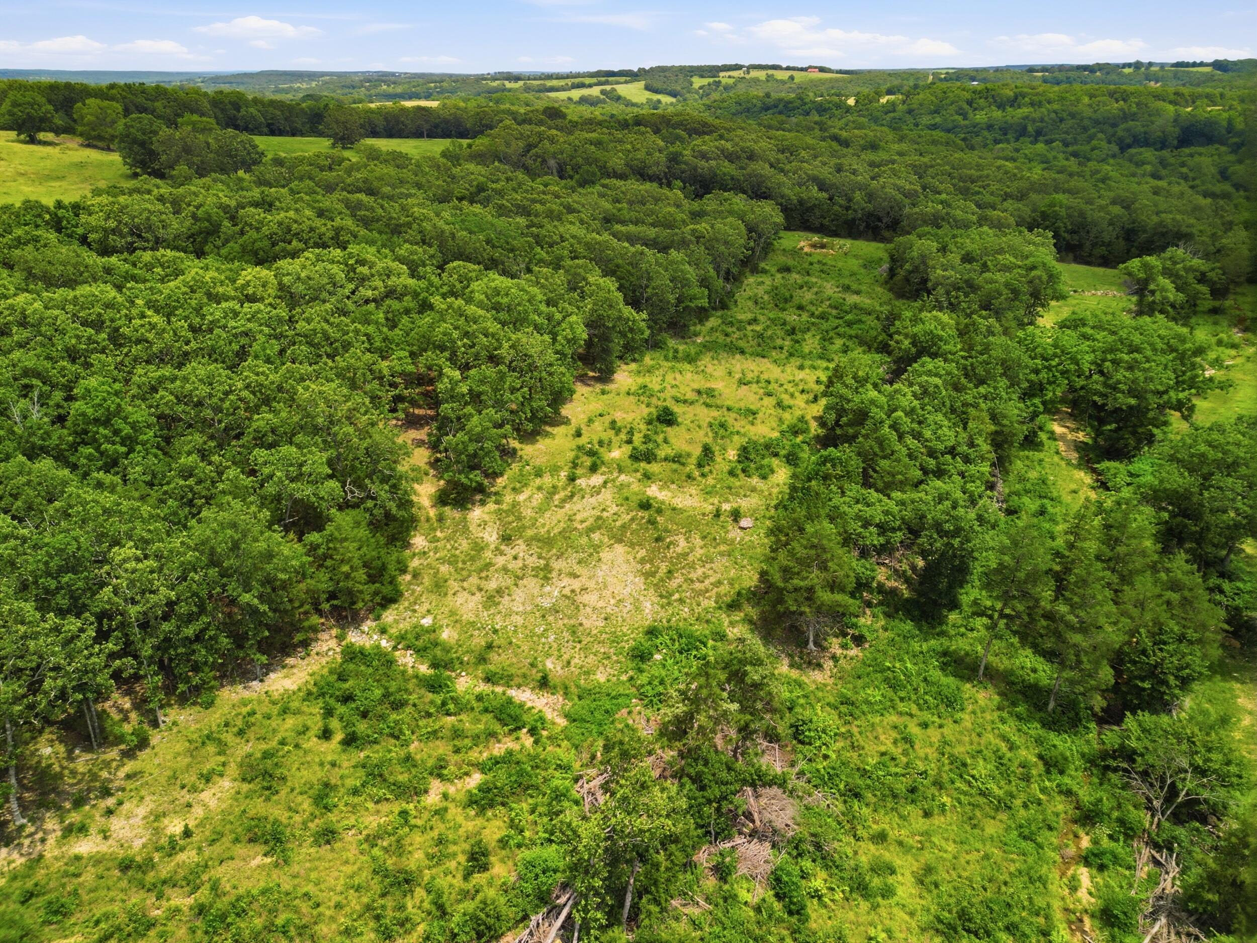 Photo 37 - Farm for sale – 000  Gravel Point Road  Mountain Grove, MO