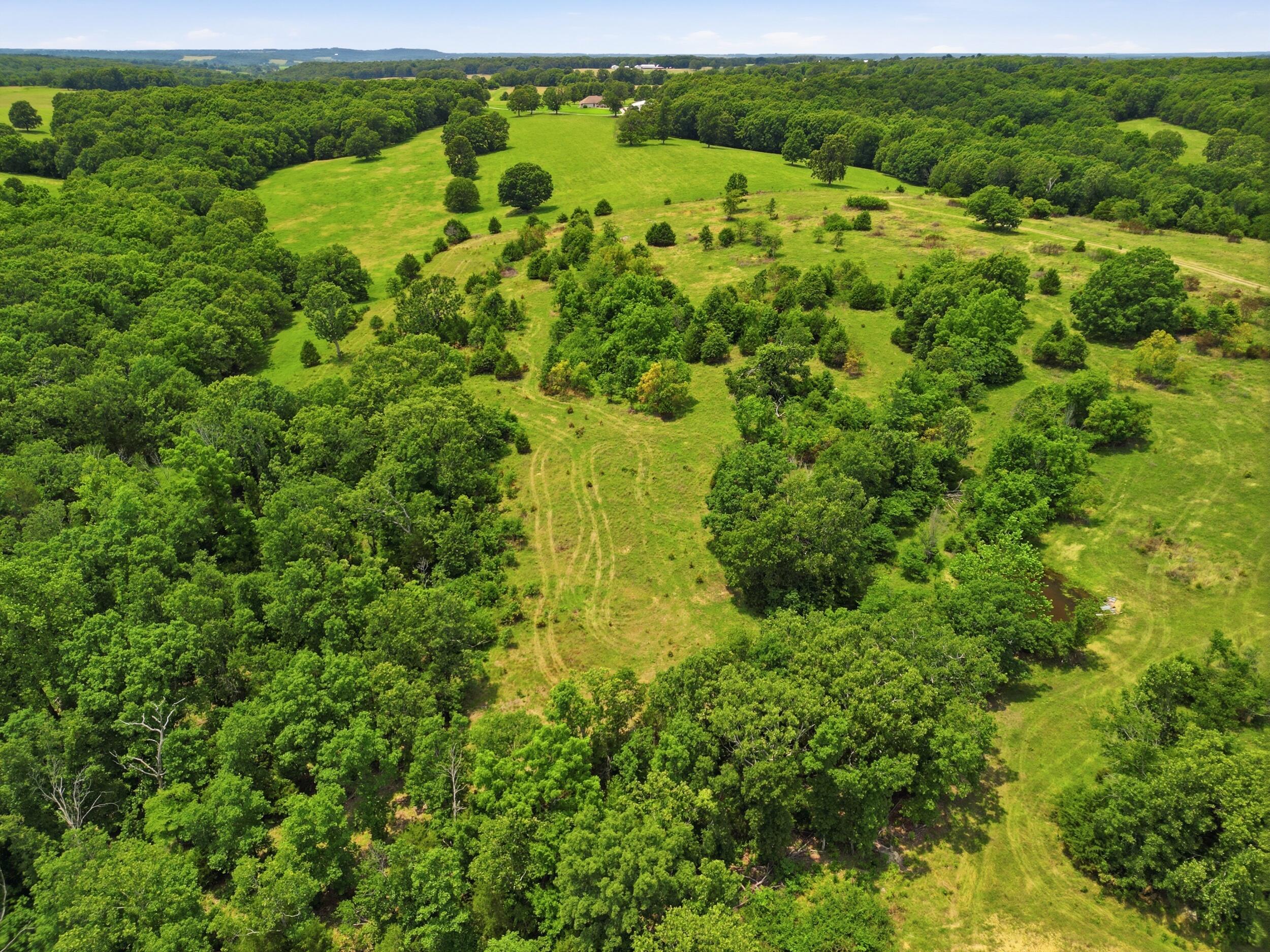 Photo 39 - Farm for sale – 000  Gravel Point Road  Mountain Grove, MO