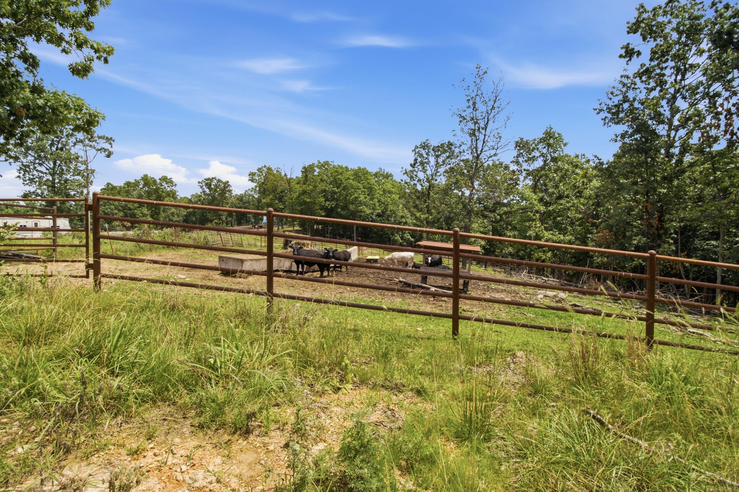 Photo 14 - Farm for sale – 000  Gravel Point Road  Mountain Grove, MO
