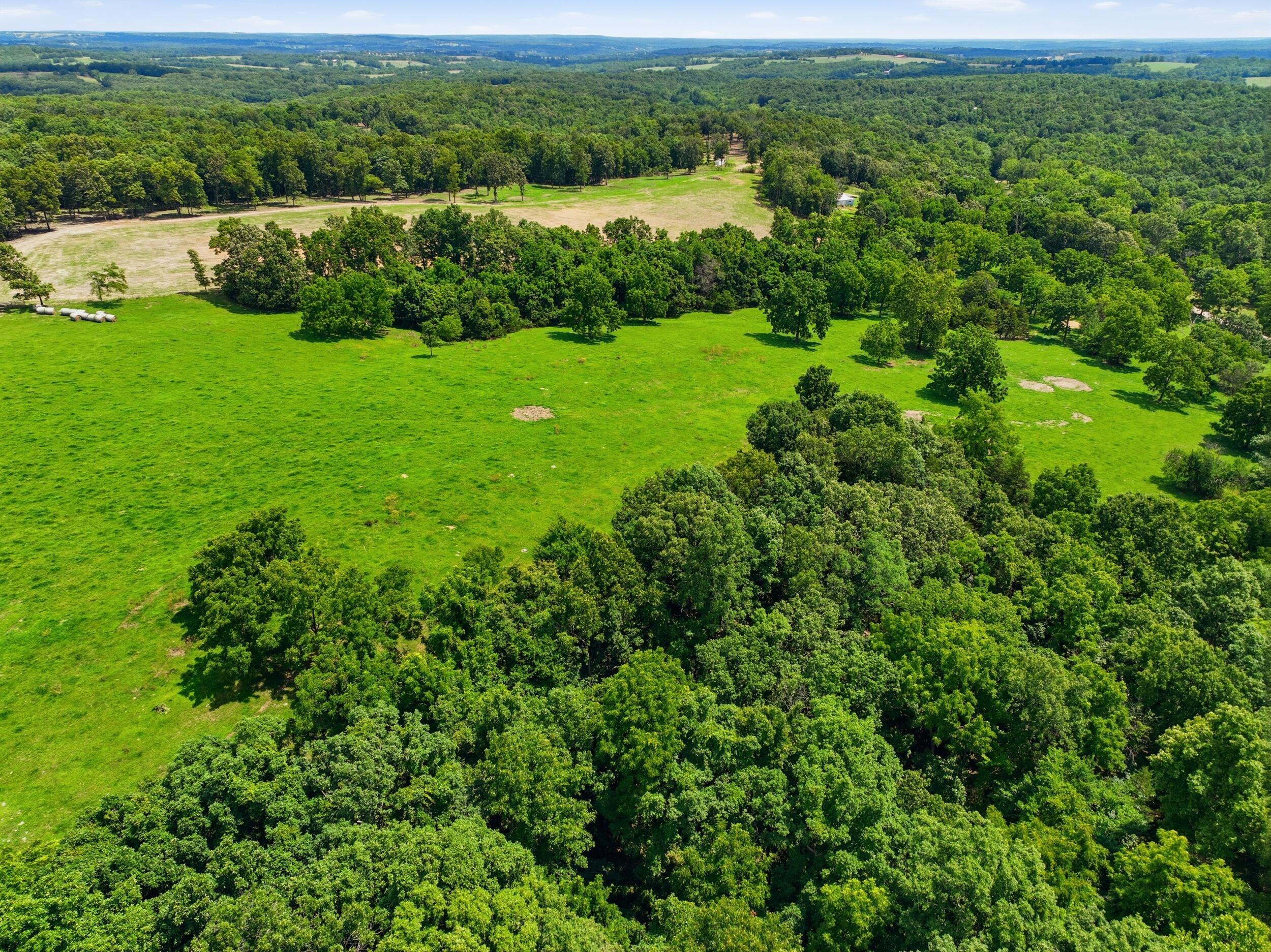 Photo 42 - Farm for sale – 000  Gravel Point Road  Mountain Grove, MO