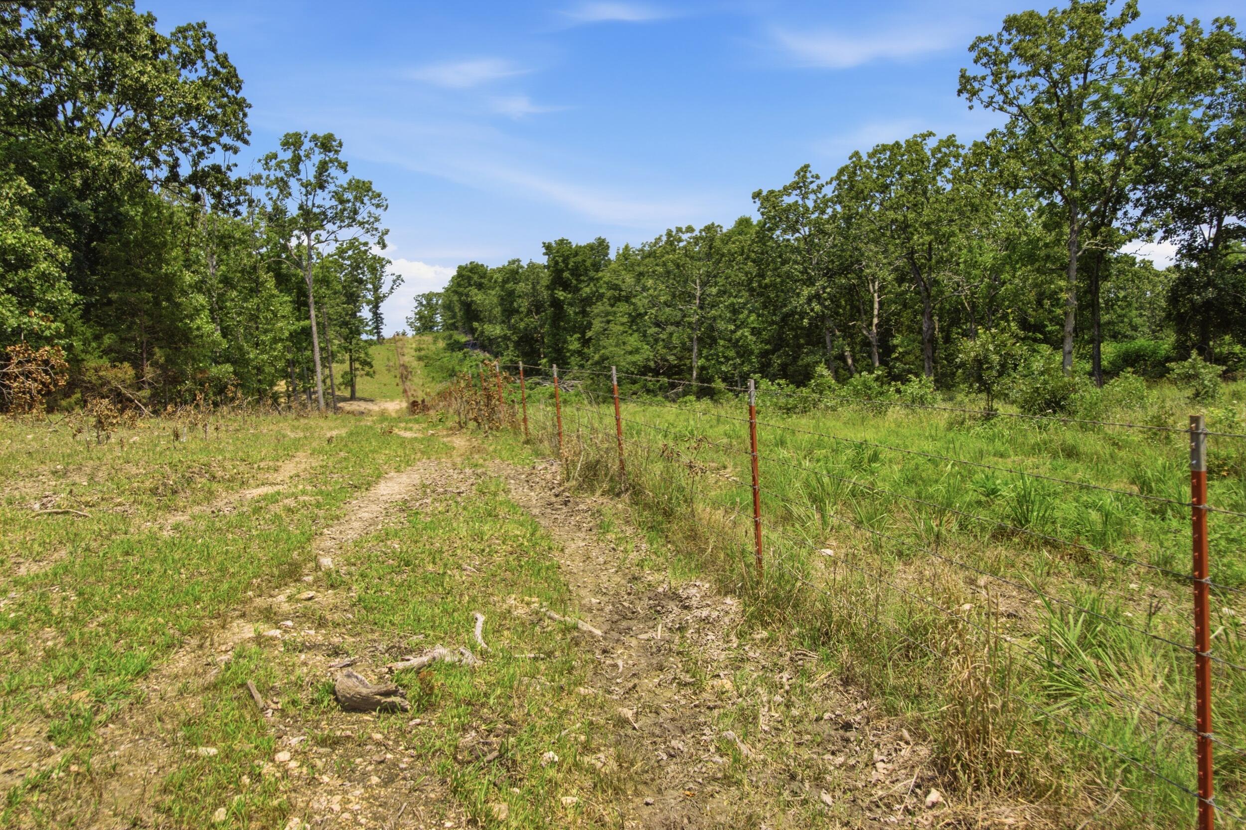 Photo 29 - Farm for sale – 000  Gravel Point Road  Mountain Grove, MO