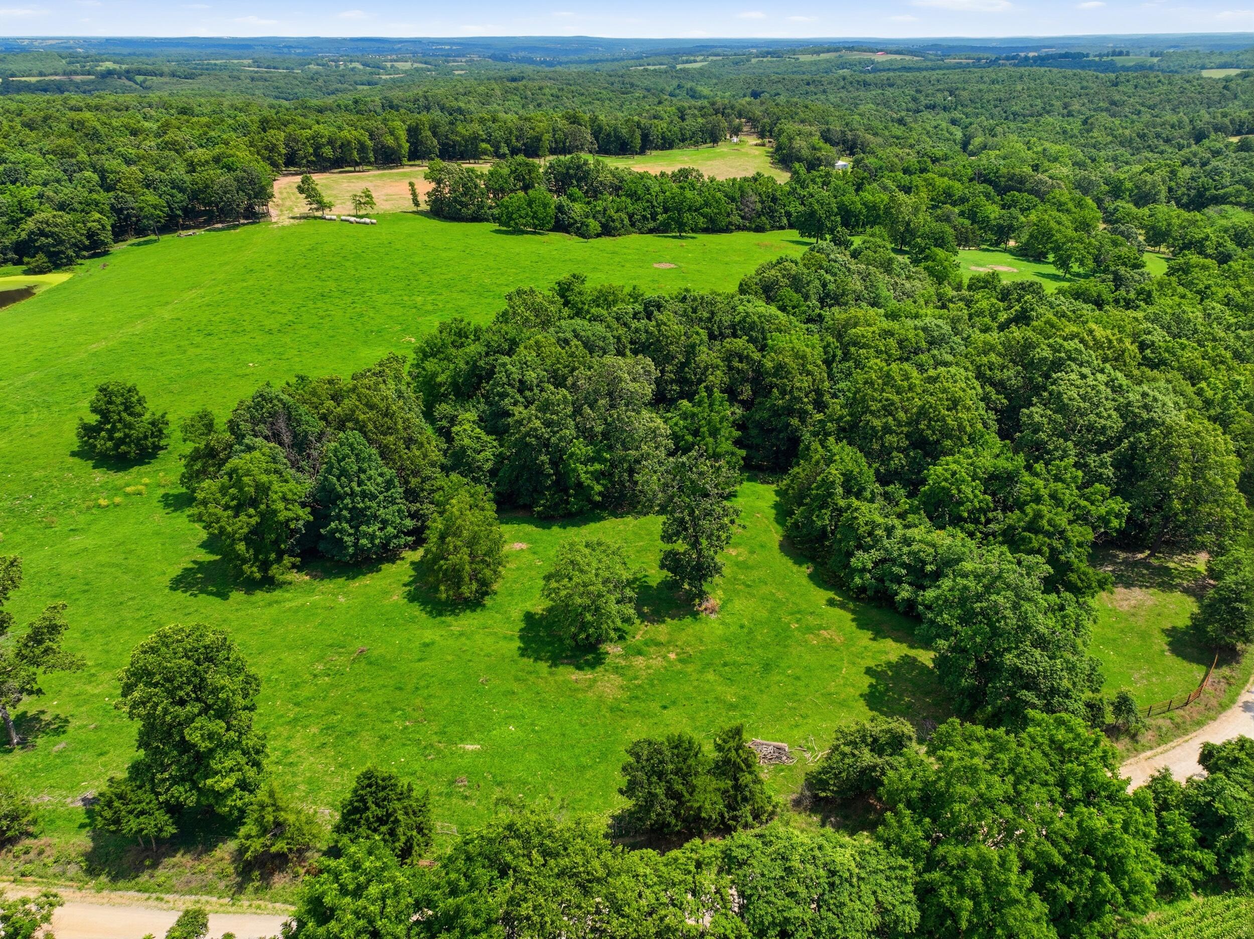 Photo 41 - Farm for sale – 000  Gravel Point Road  Mountain Grove, MO