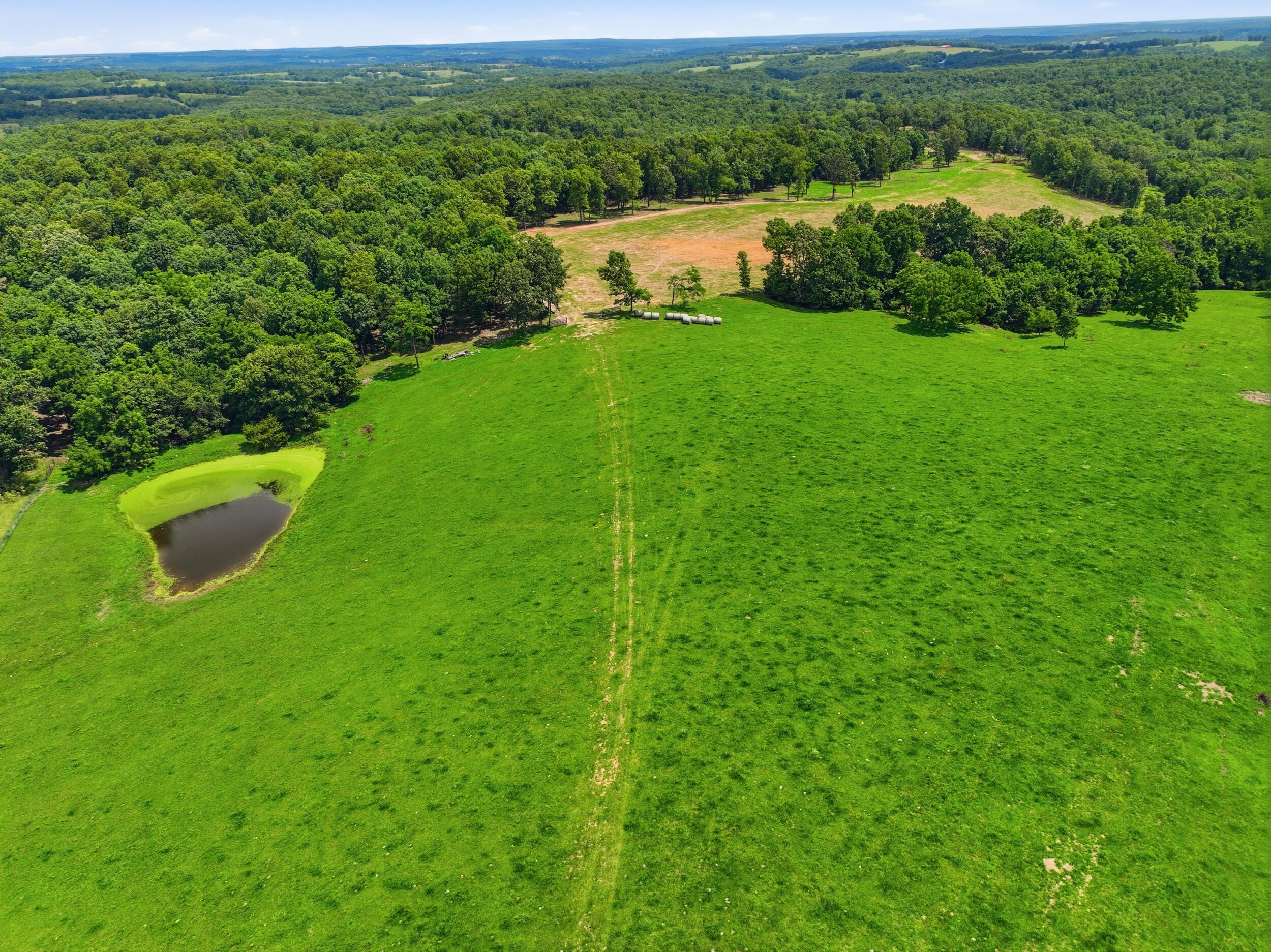 Photo 10 - Farm for sale – 000  Gravel Point Road  Mountain Grove, MO