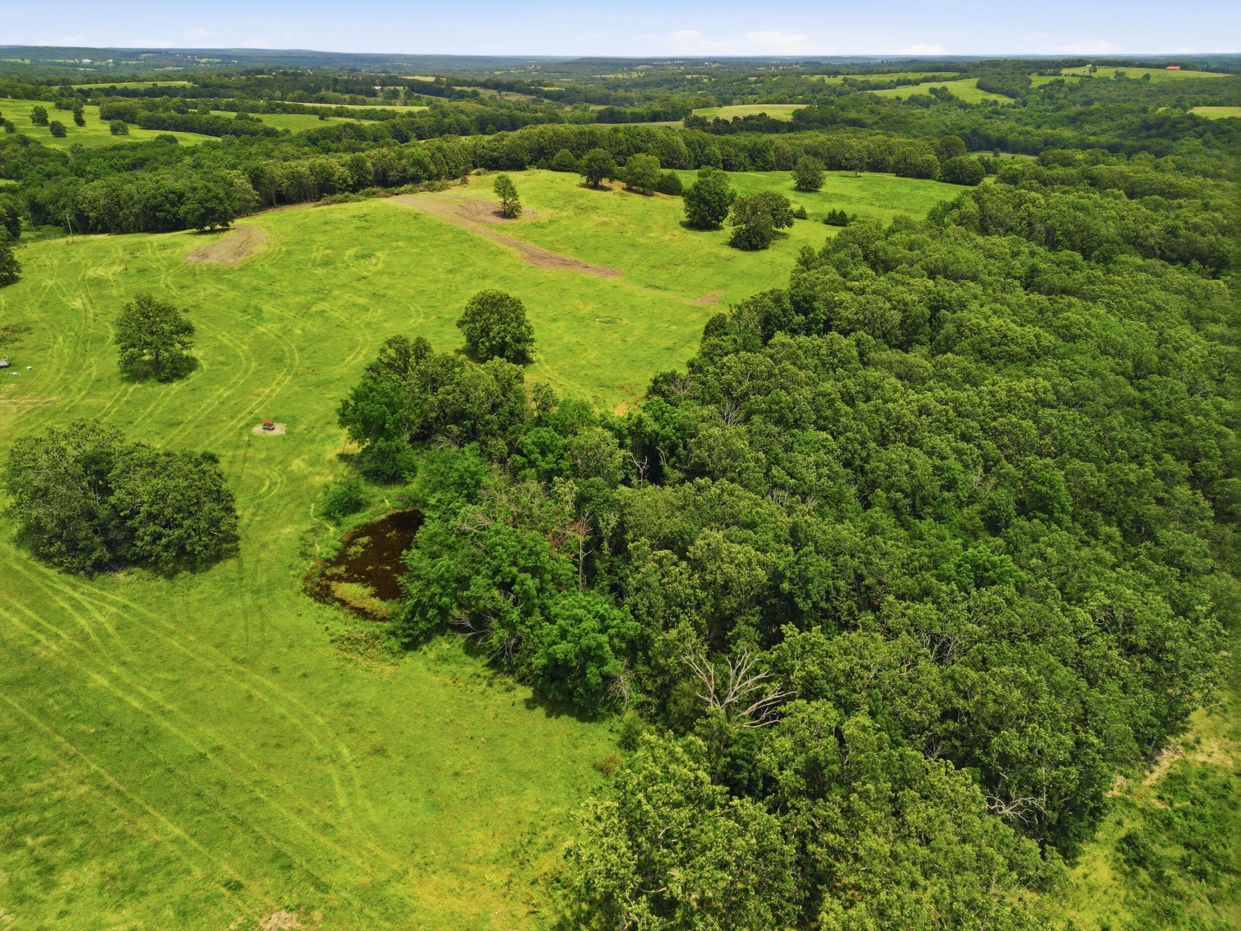 Photo 40 - Farm for sale – 000  Gravel Point Road  Mountain Grove, MO