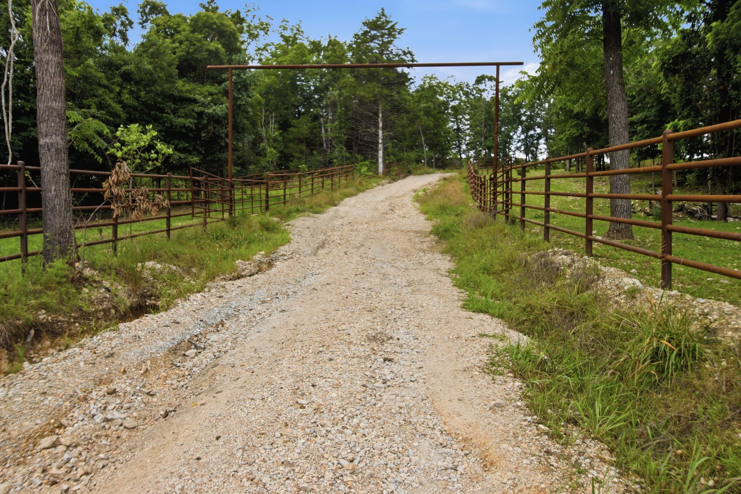 Photo 12 - Farm for sale – 000  Gravel Point Road  Mountain Grove, MO
