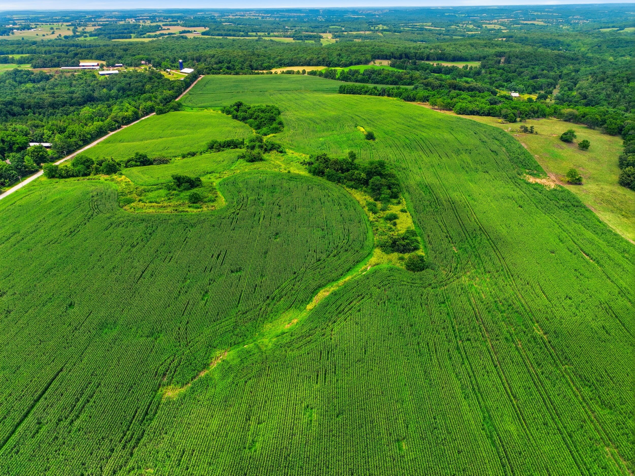Photo 29 - Land for sale – 000  Gravel Point Road  Mountain Grove, MO