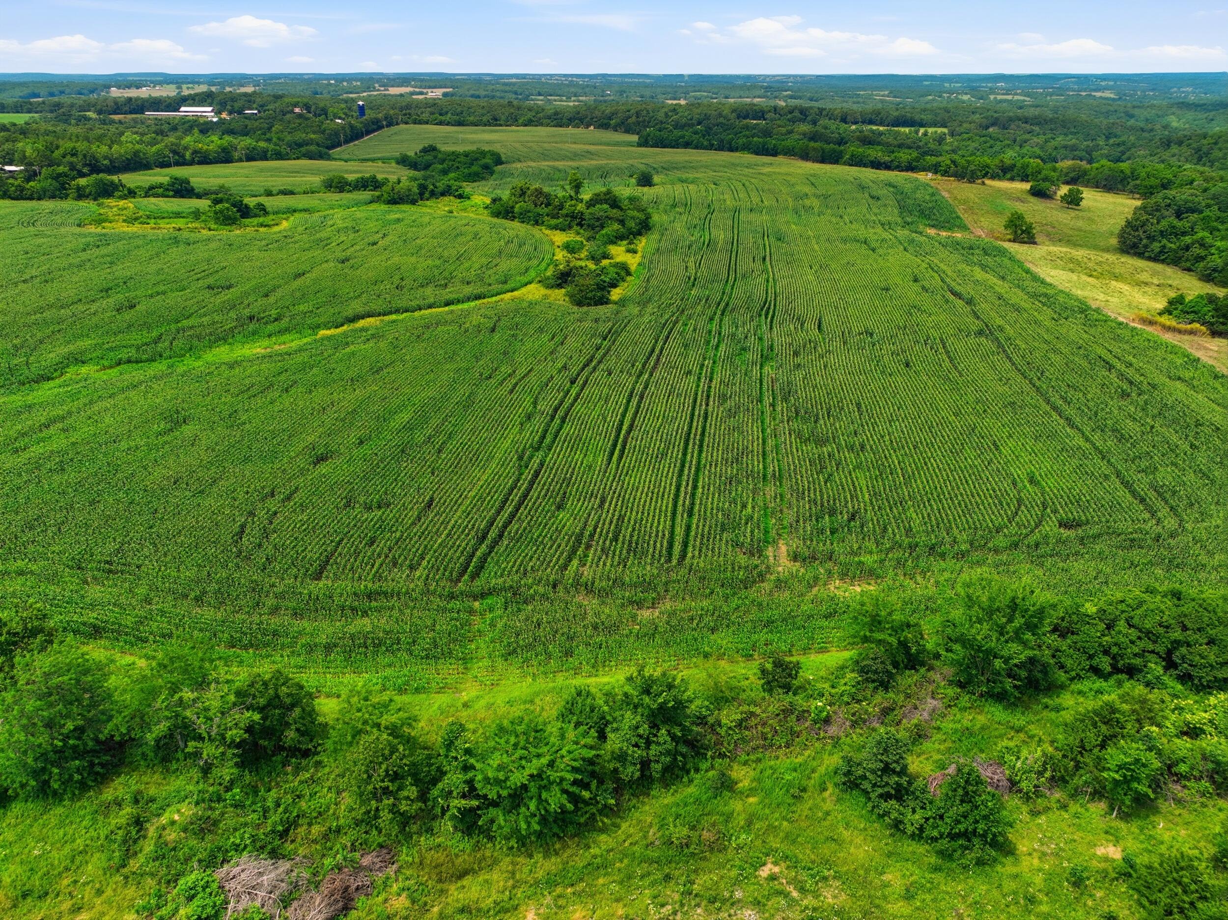Photo 16 - Land for sale – 000  Gravel Point Road  Mountain Grove, MO