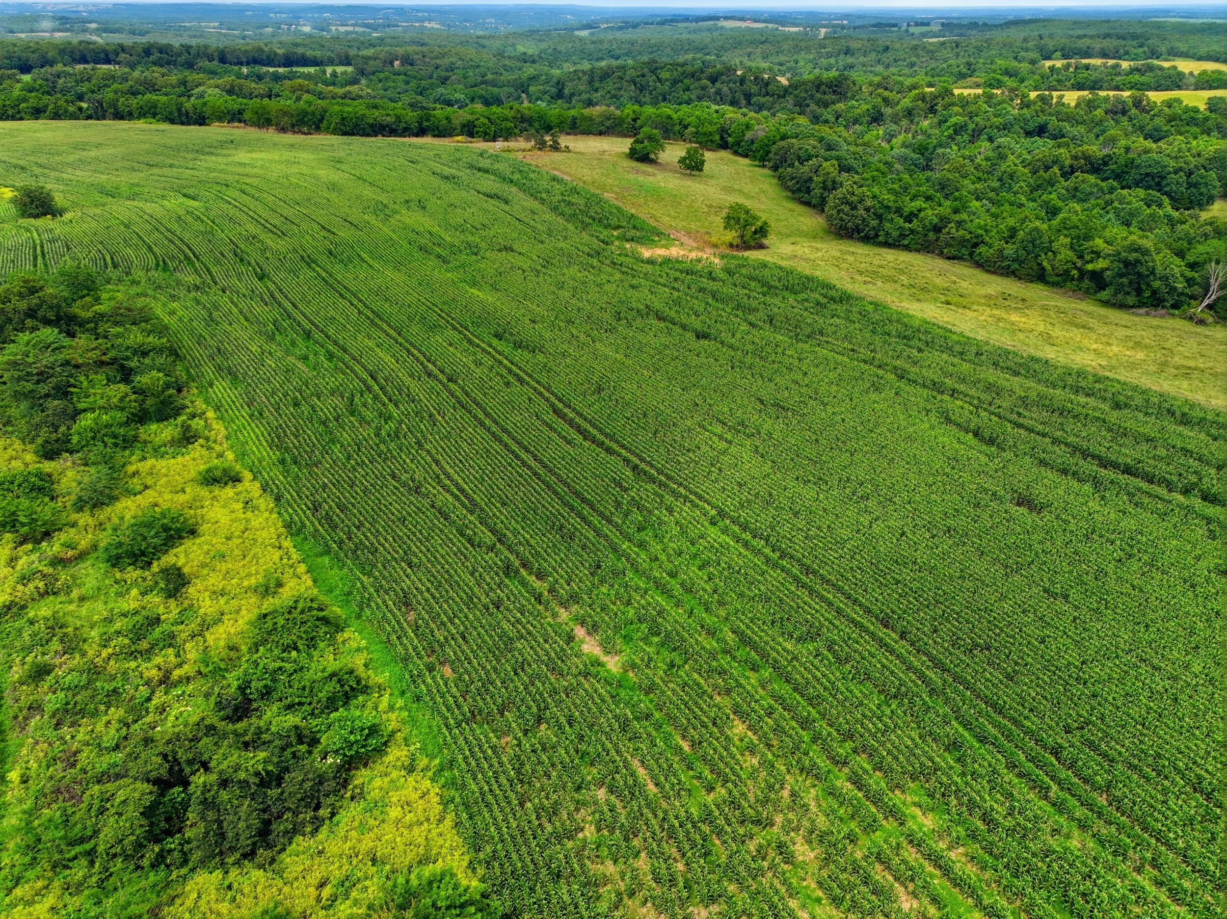Photo 27 - Land for sale – 000  Gravel Point Road  Mountain Grove, MO