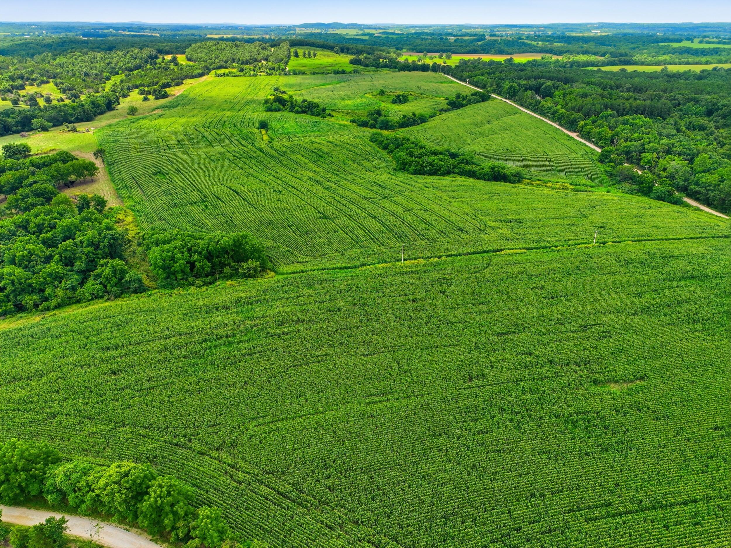 Photo 12 - Land for sale – 000  Gravel Point Road  Mountain Grove, MO
