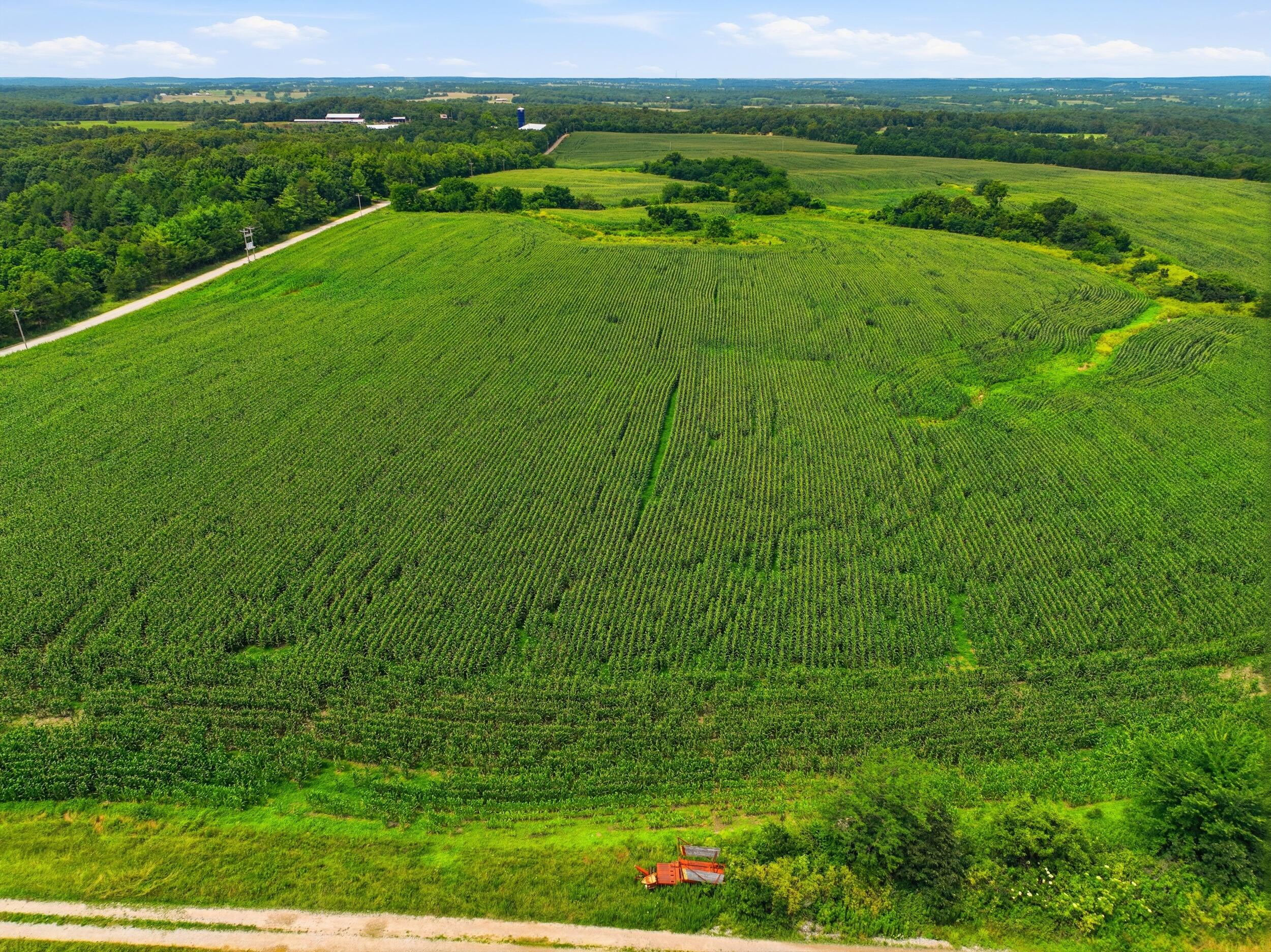 Photo 20 - Land for sale – 000  Gravel Point Road  Mountain Grove, MO