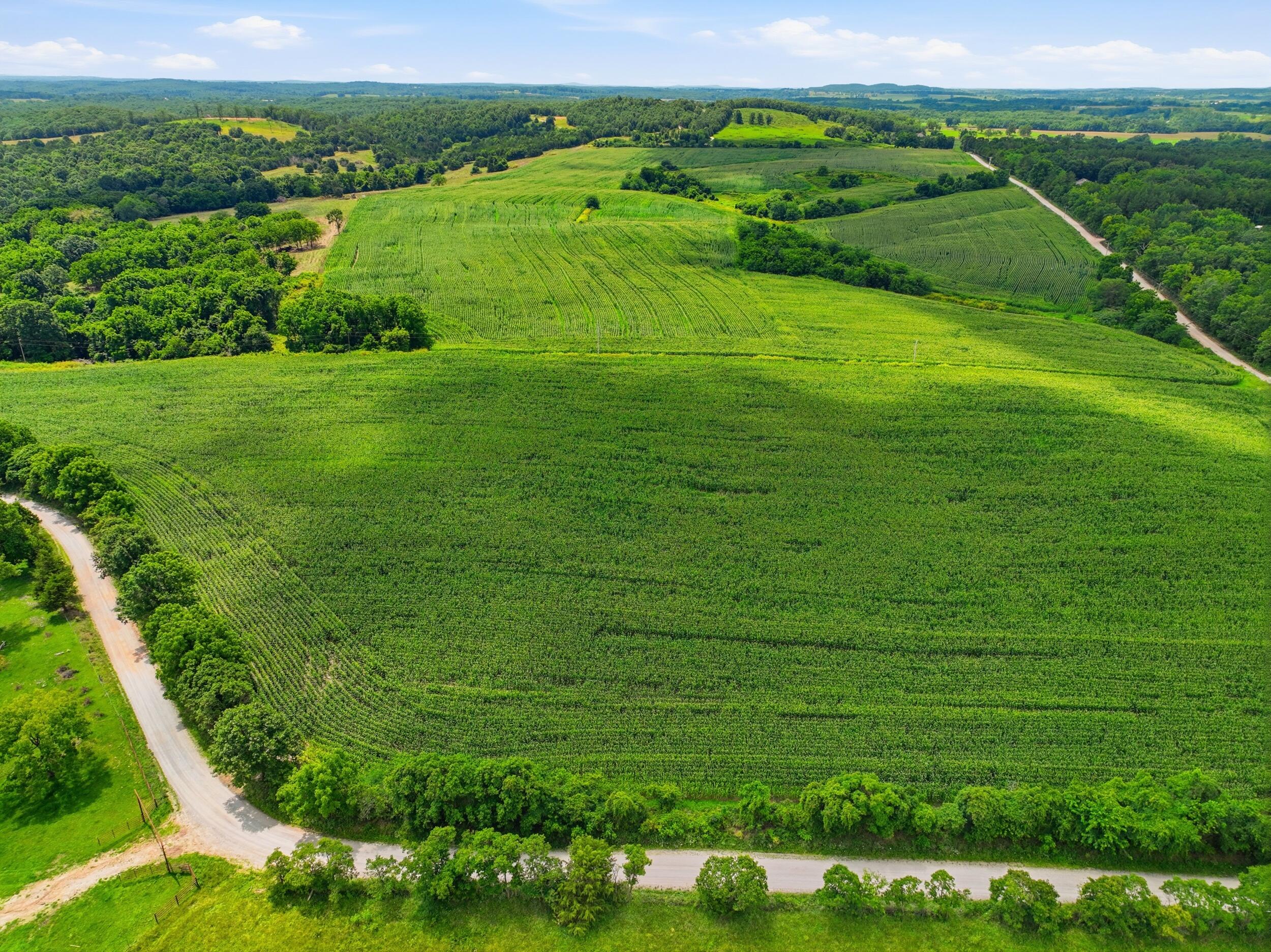 Photo 7 - Land for sale – 000  Gravel Point Road  Mountain Grove, MO