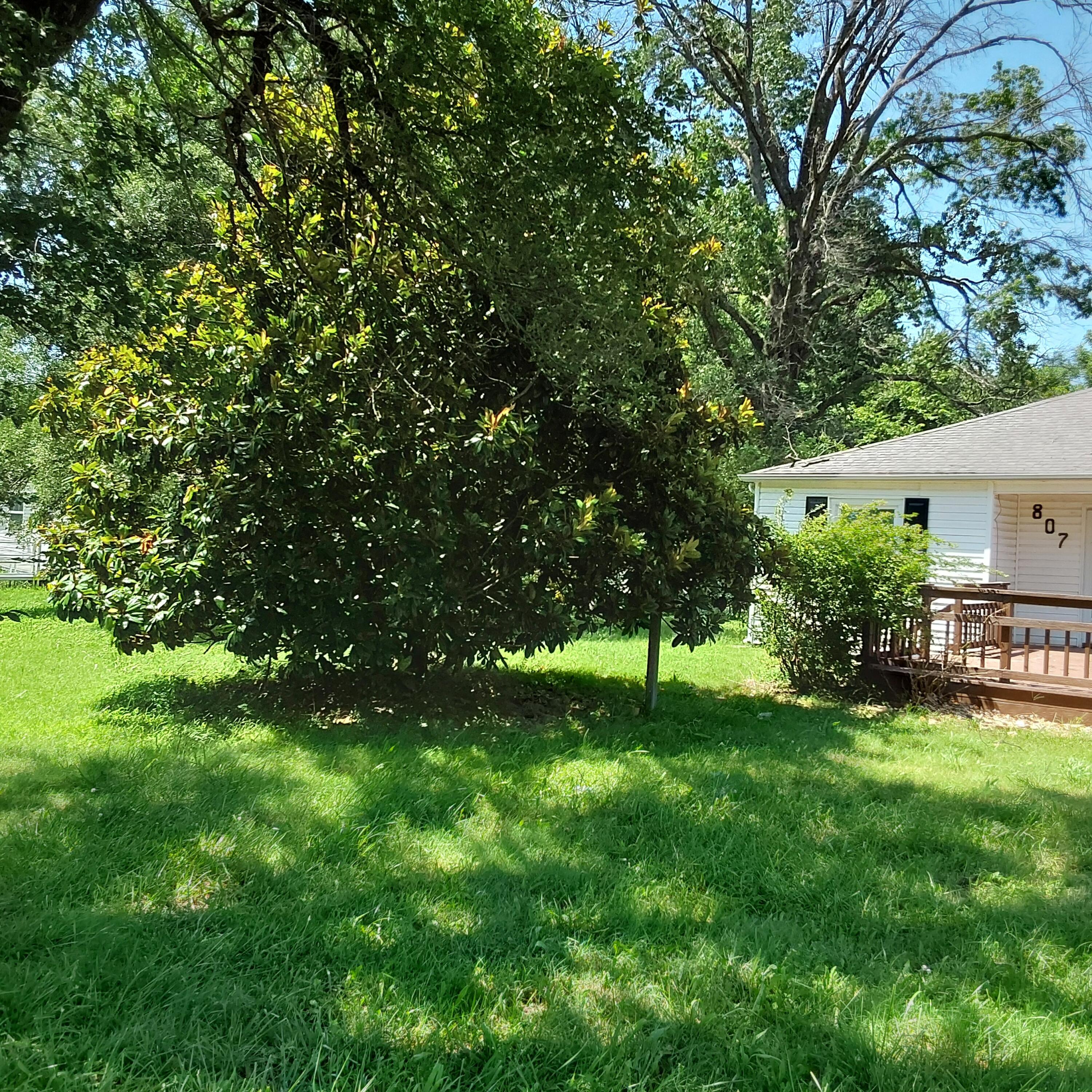 Photo 2 - Residential for sale – 807 E Pennell Street  Carl Junction, MO