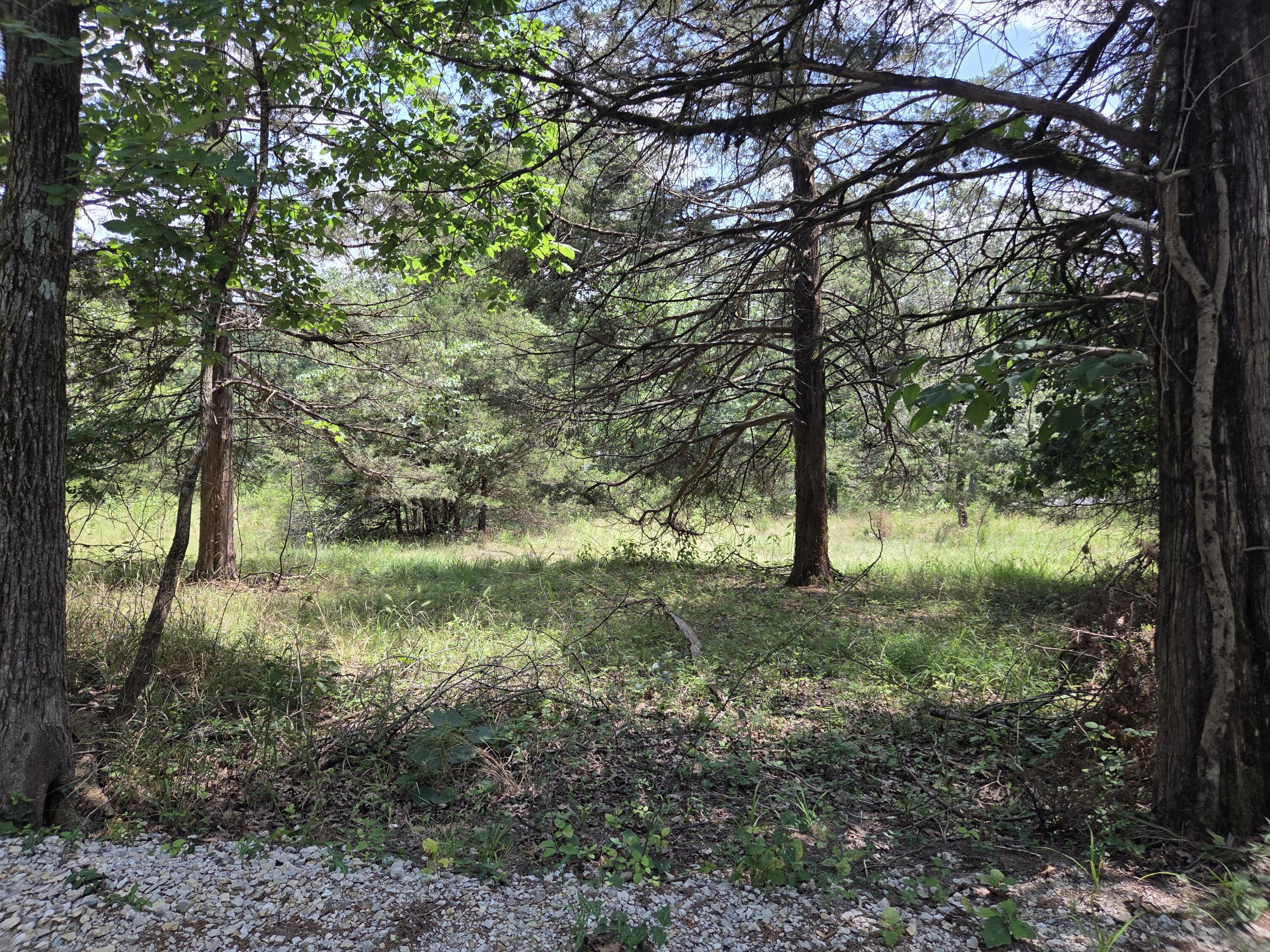 Photo 7 - Land for sale – Tbd  Green Briar Drive  Branson, MO