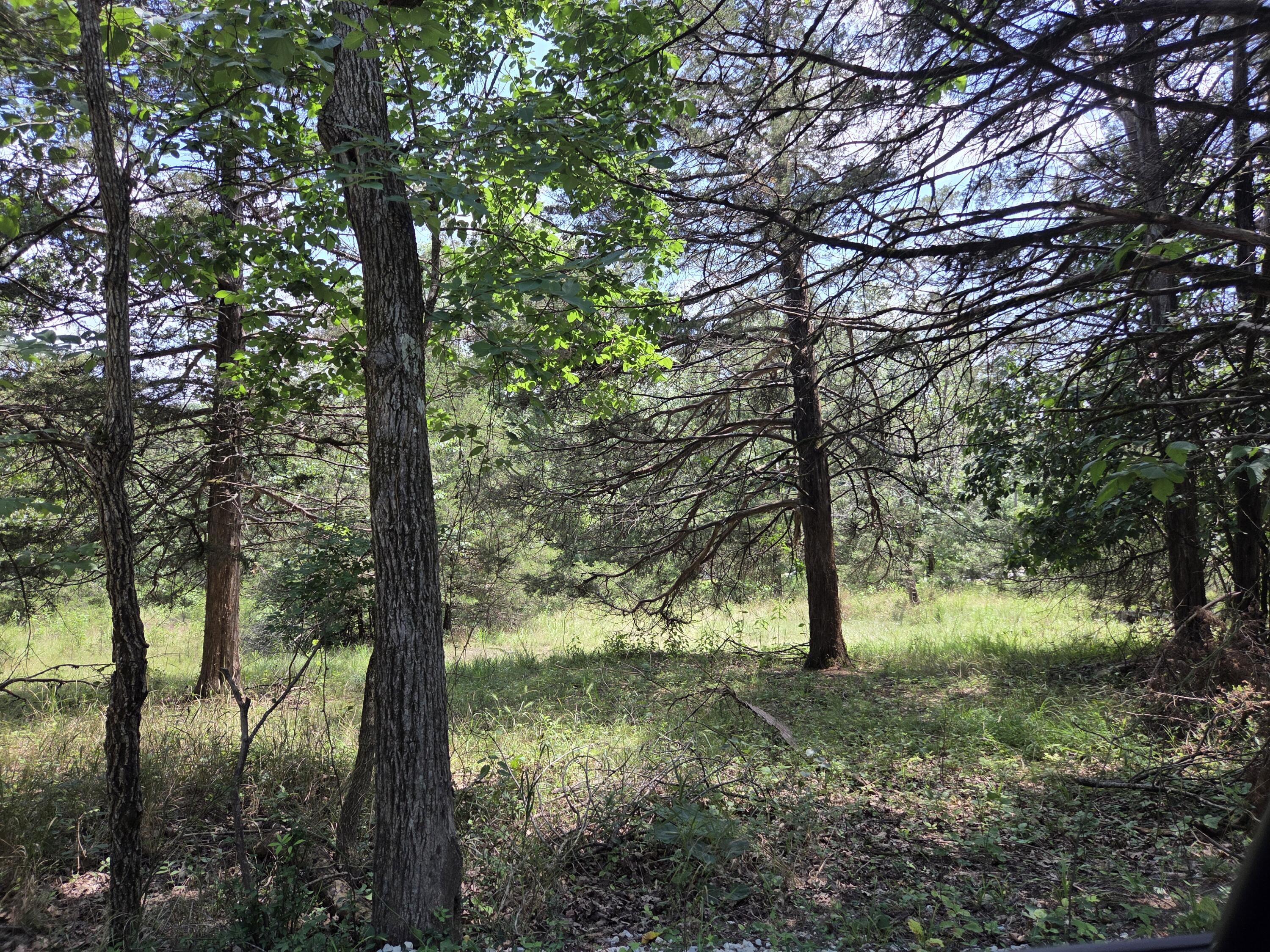 Photo 5 - Land for sale – Tbd  Green Briar Drive  Branson, MO