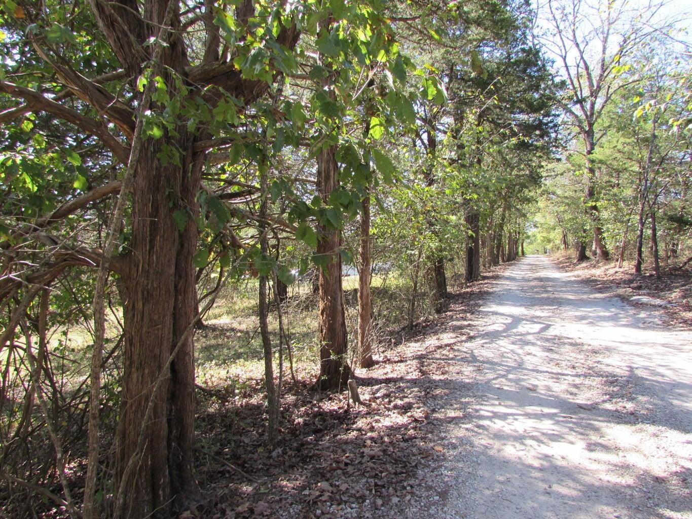 Photo 8 - Land for sale – Tbd  Green Briar Drive  Branson, MO