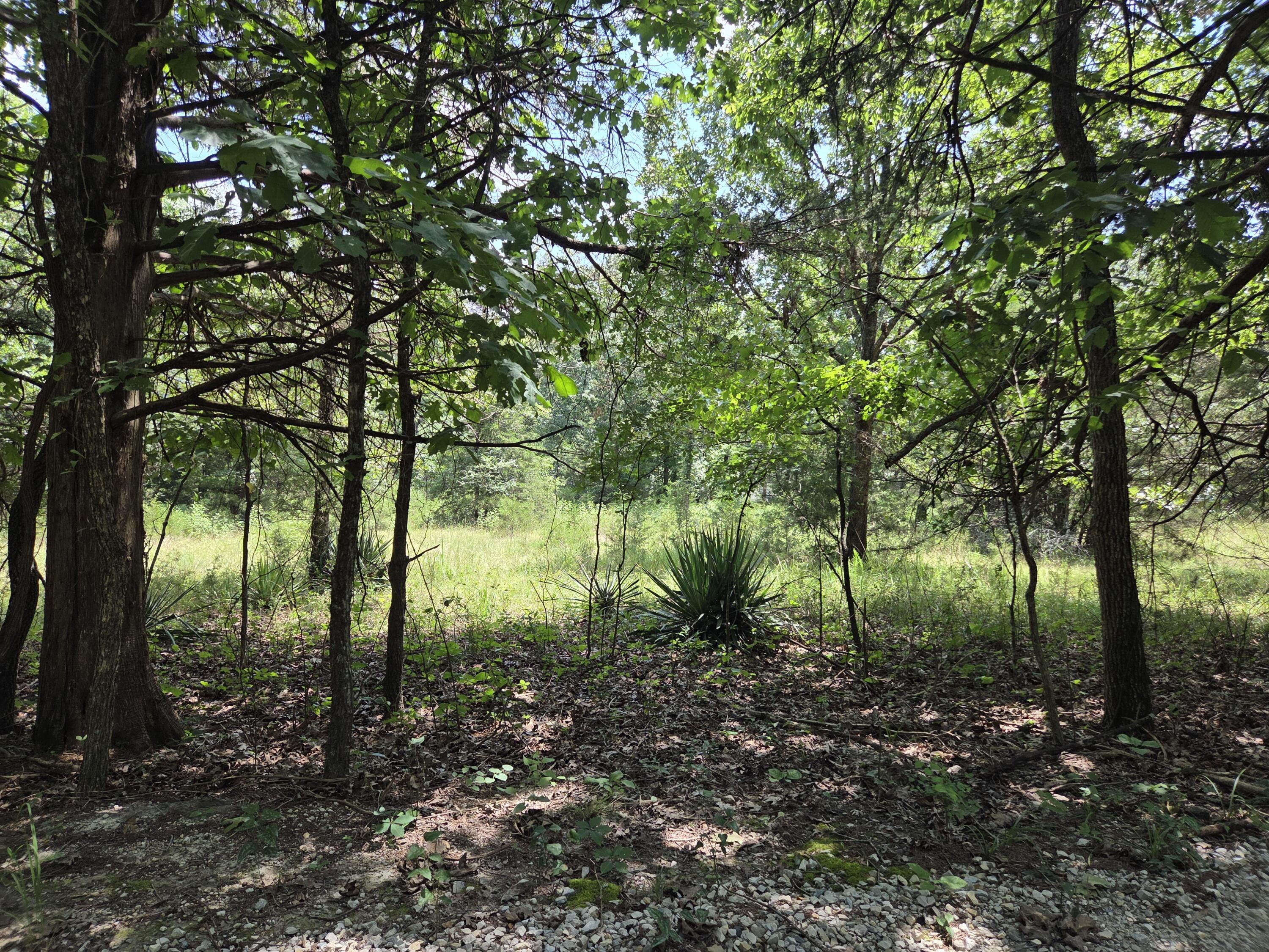 Photo 6 - Land for sale – Tbd  Green Briar Drive  Branson, MO