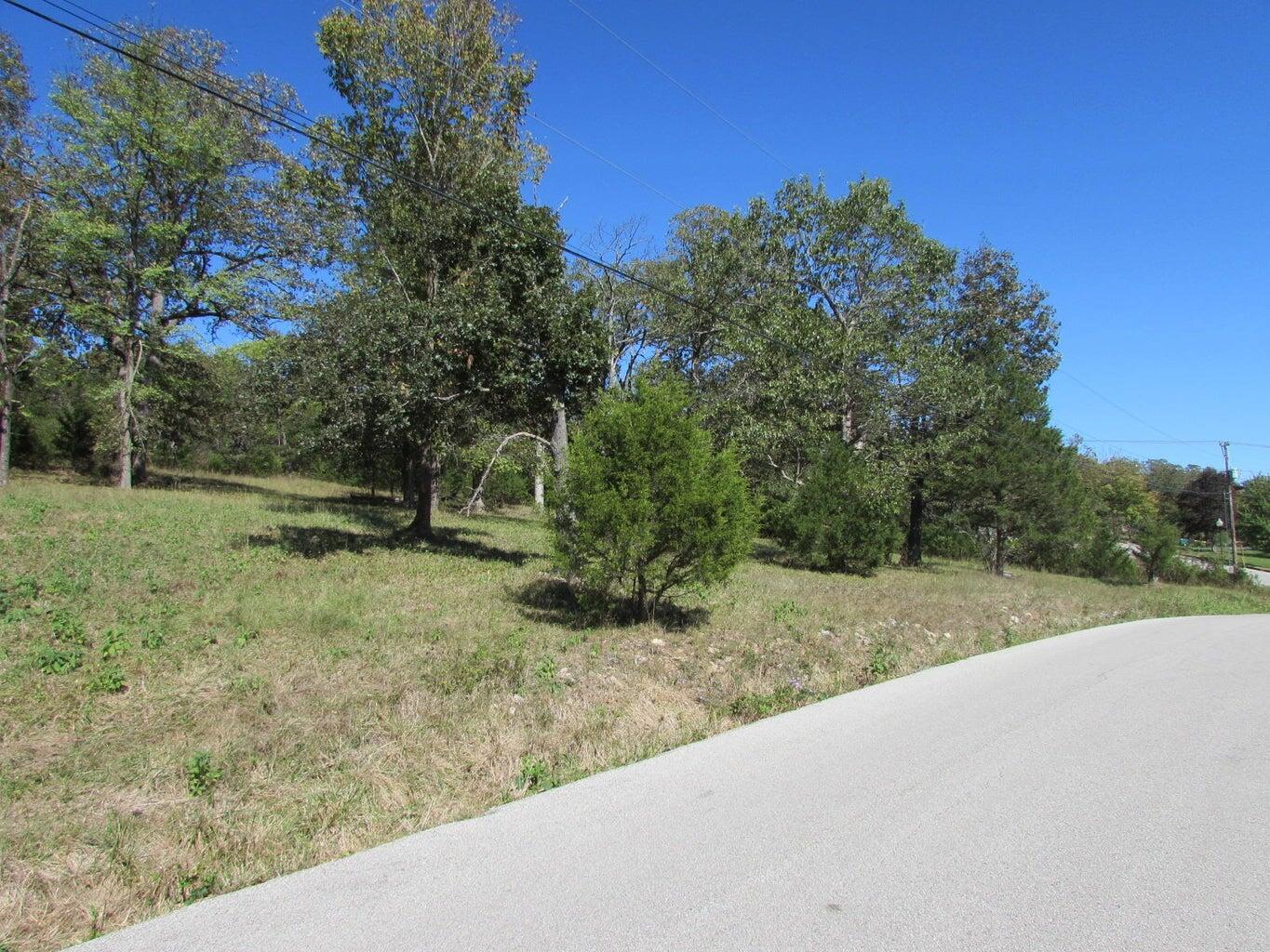 Land for sale – Tbd  Green Briar Drive  Branson, MO