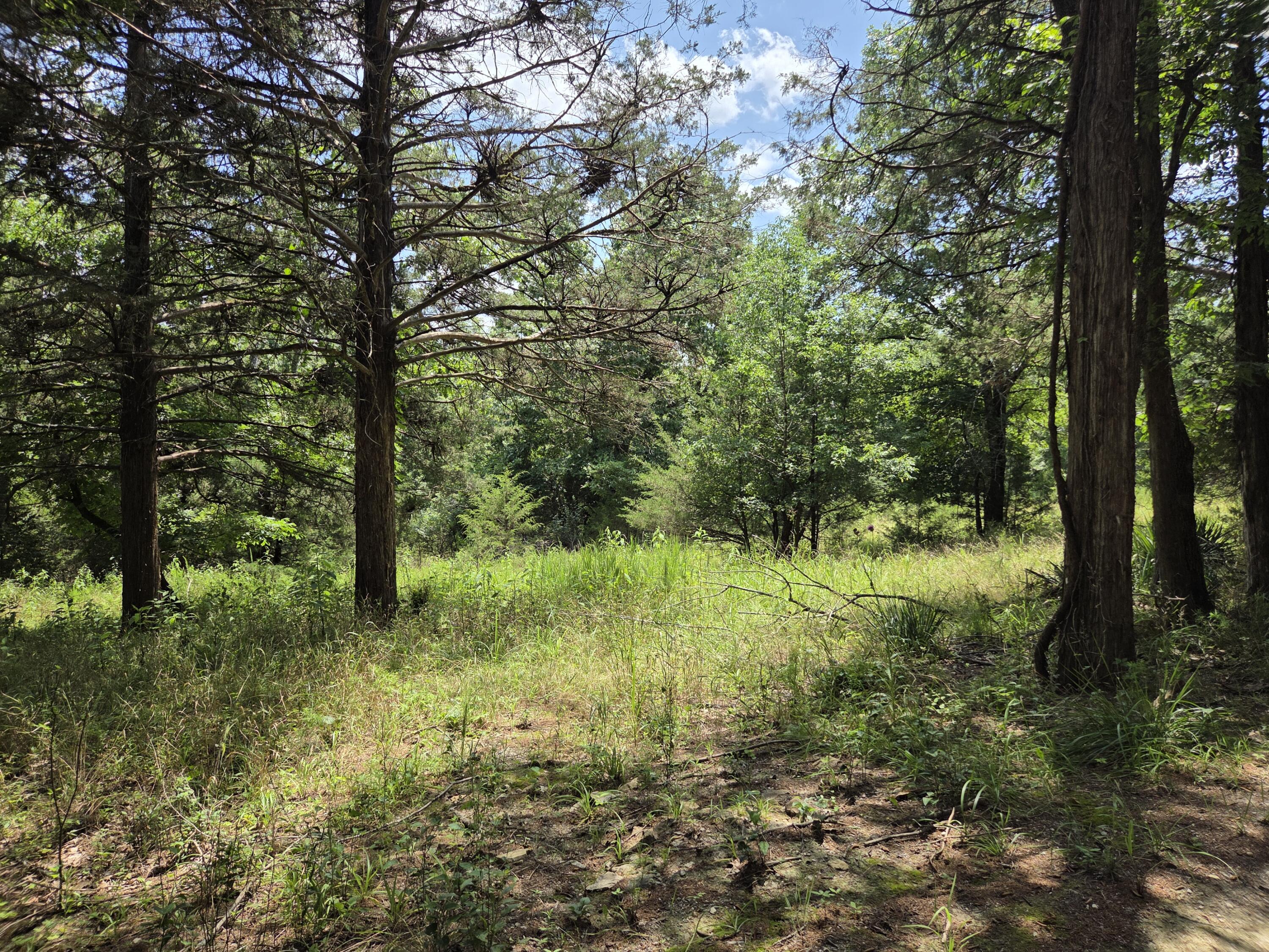 Photo 2 - Land for sale – Tbd  Green Briar Drive  Branson, MO