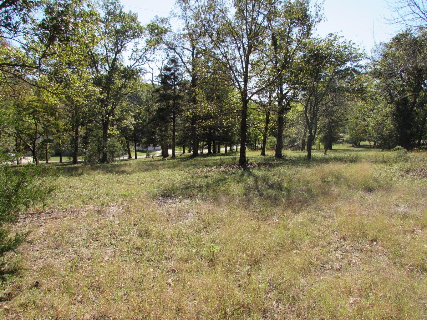 Photo 9 - Land for sale – Tbd  Green Briar Drive  Branson, MO