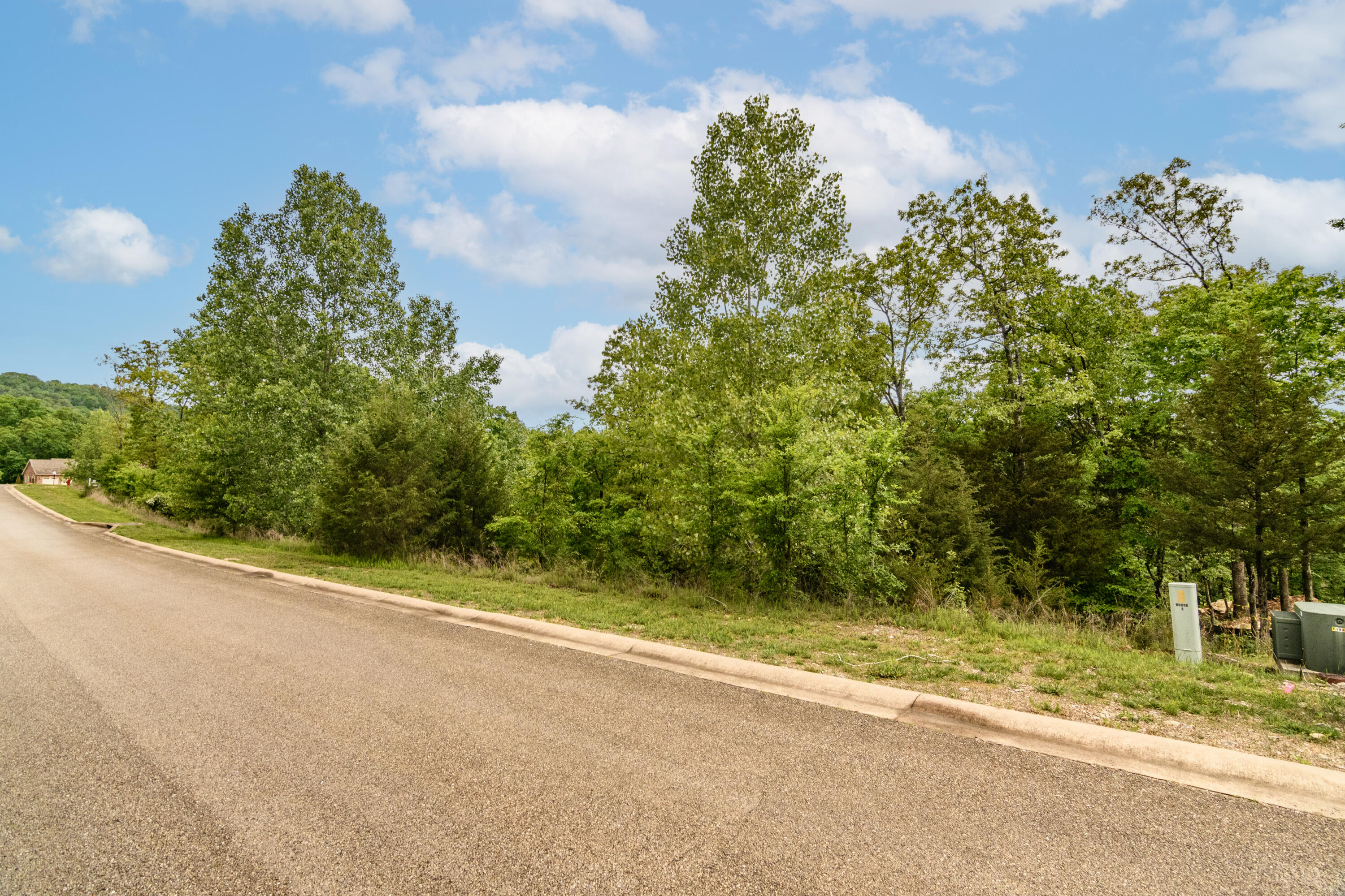 Photo 4 - Land for sale – 240  Royal Dornoch Drive  Branson, MO
