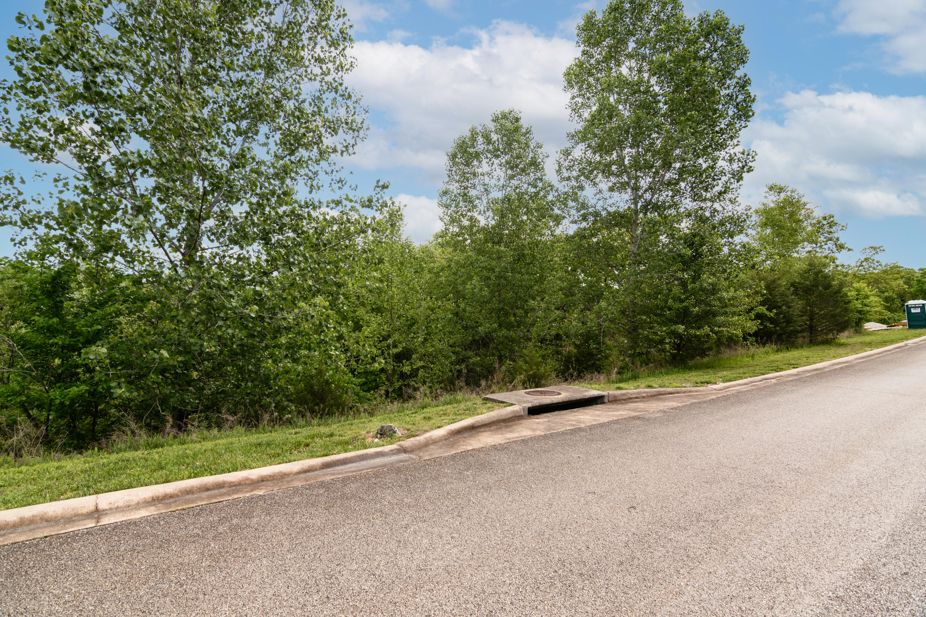 Photo 5 - Land for sale – 240  Royal Dornoch Drive  Branson, MO