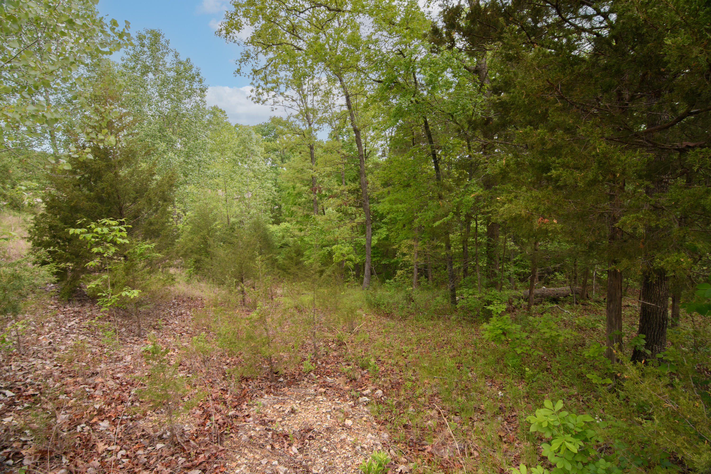 Photo 6 - Land for sale – 240  Royal Dornoch Drive  Branson, MO