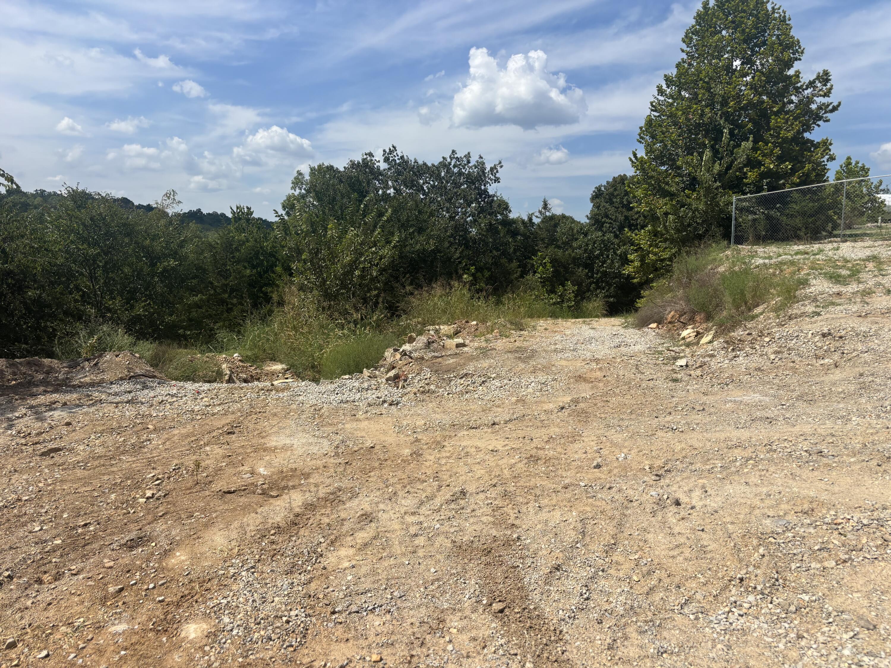 Photo 5 - Land for sale – Tbd  Shepherd Of The Hills Expressway  Branson, MO