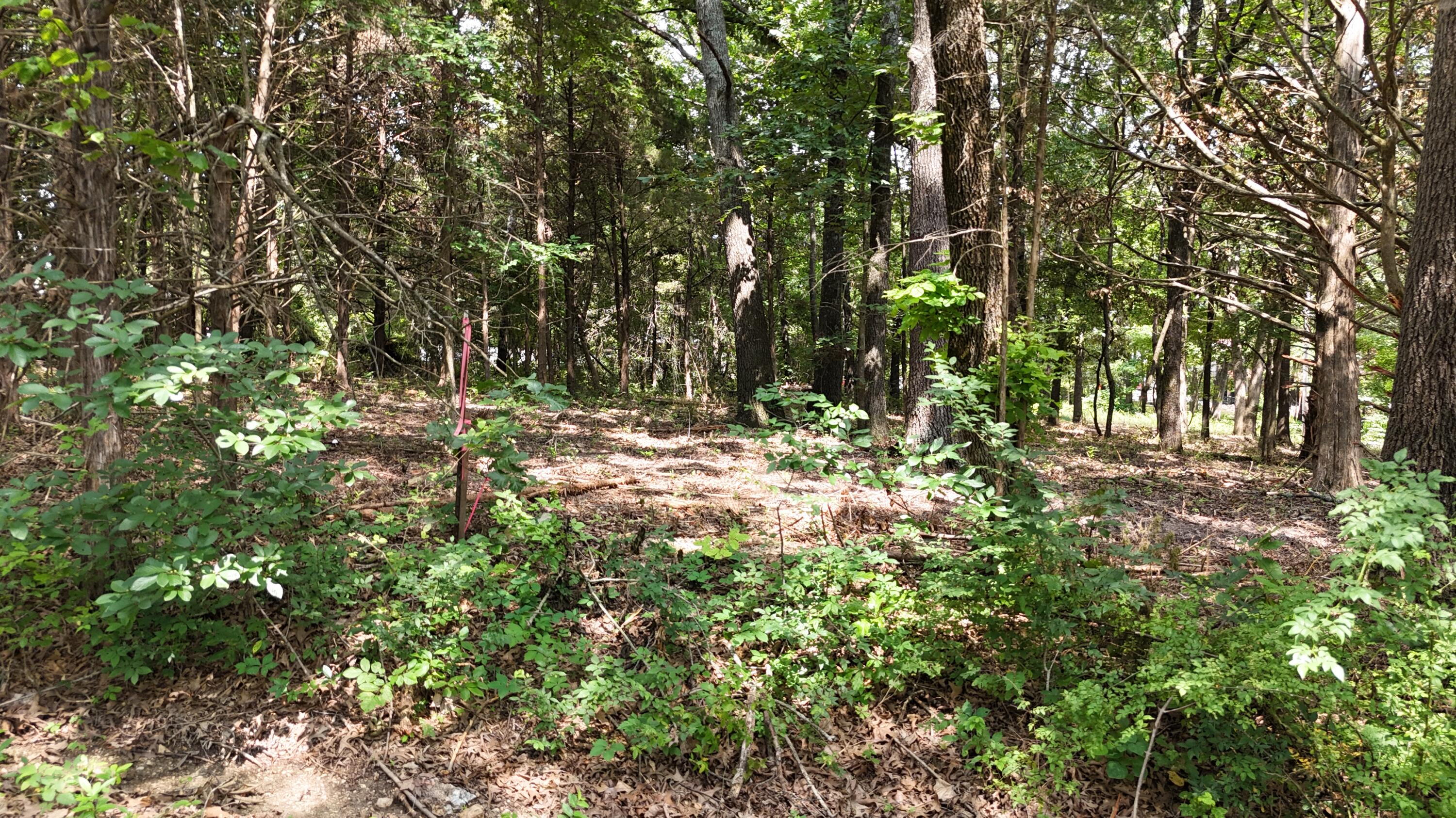 Photo 6 - Land for sale – 000 S Rosewood Street  Shell Knob, MO
