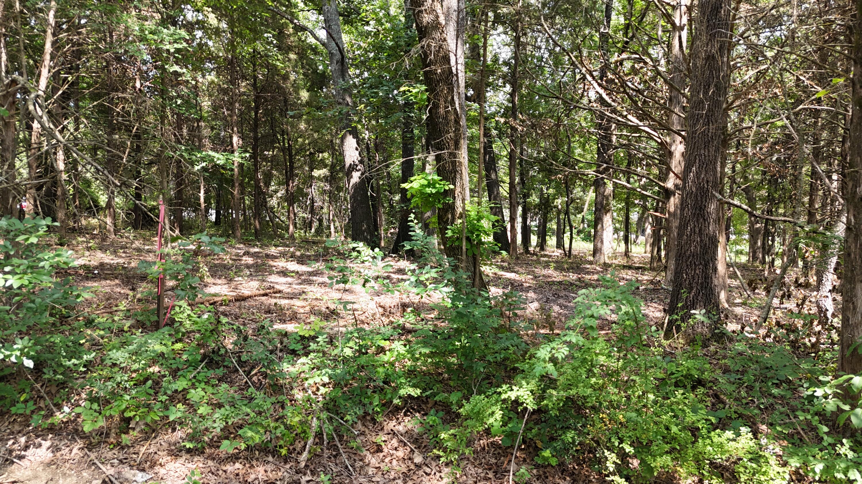 Photo 4 - Land for sale – 000 S Rosewood Street  Shell Knob, MO