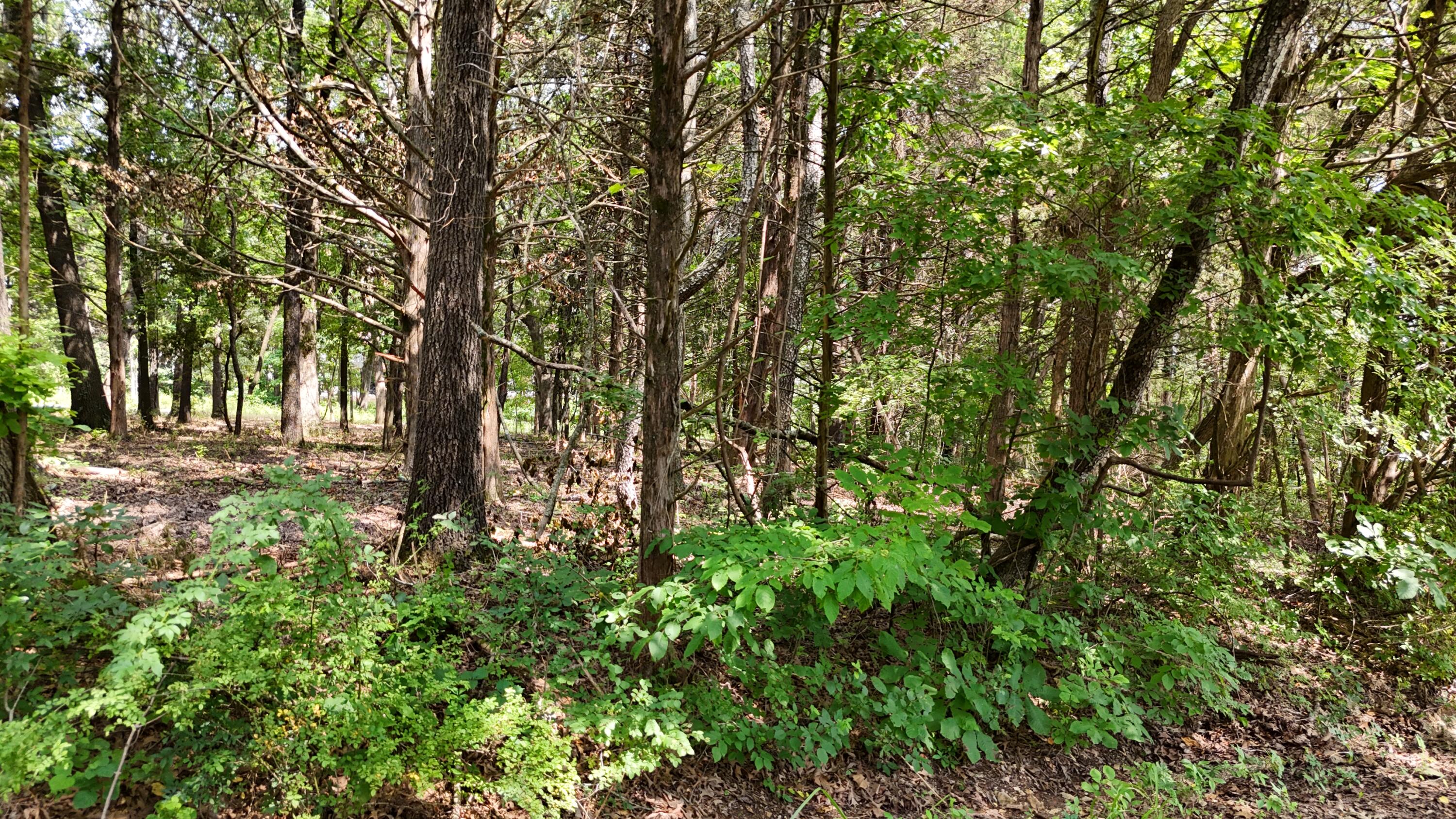 Photo 5 - Land for sale – 000 S Rosewood Street  Shell Knob, MO