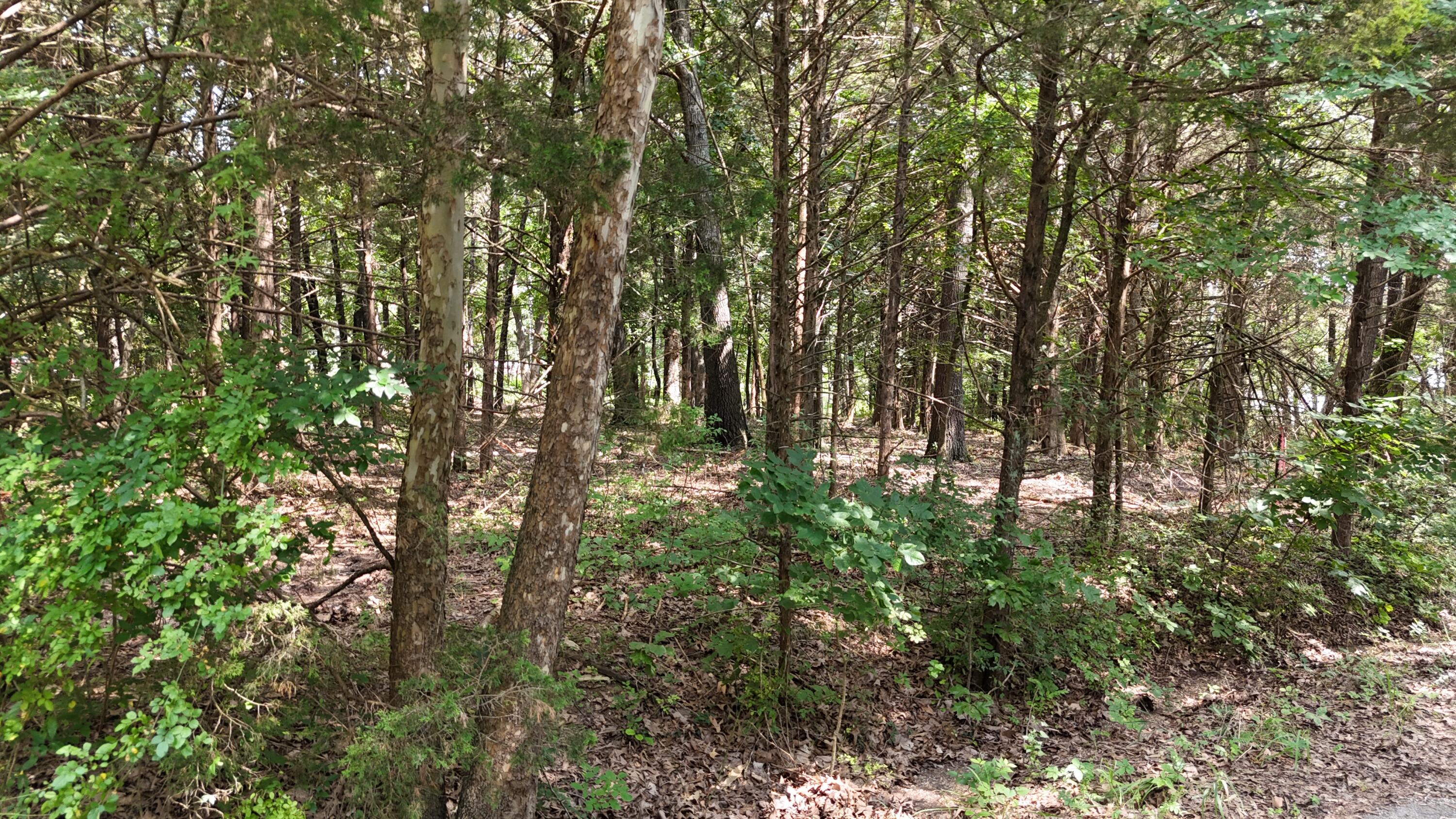 Photo 3 - Land for sale – 000 S Rosewood Street  Shell Knob, MO