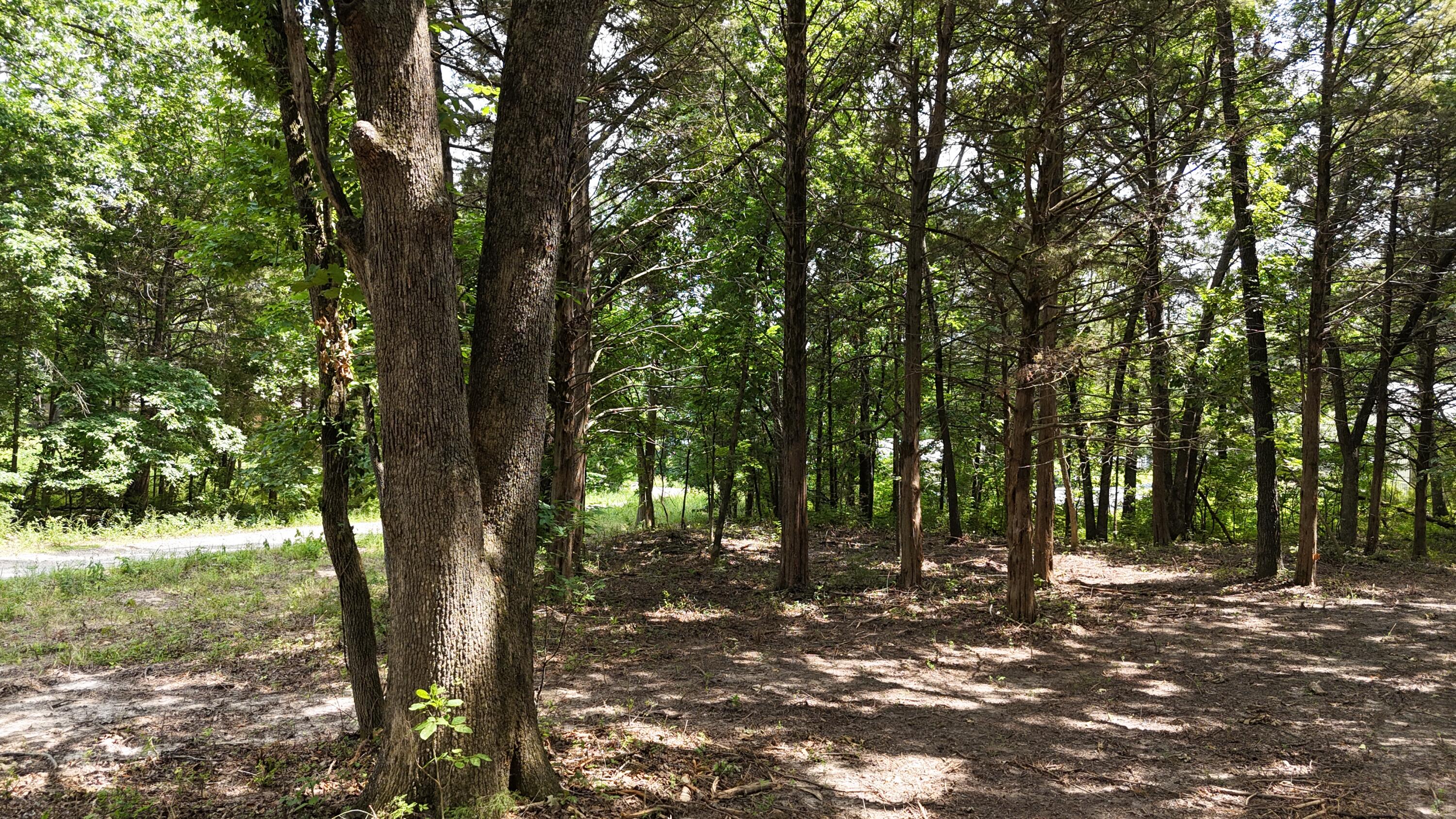 Photo 9 - Land for sale – 000  Deer Run Street  Shell Knob, MO