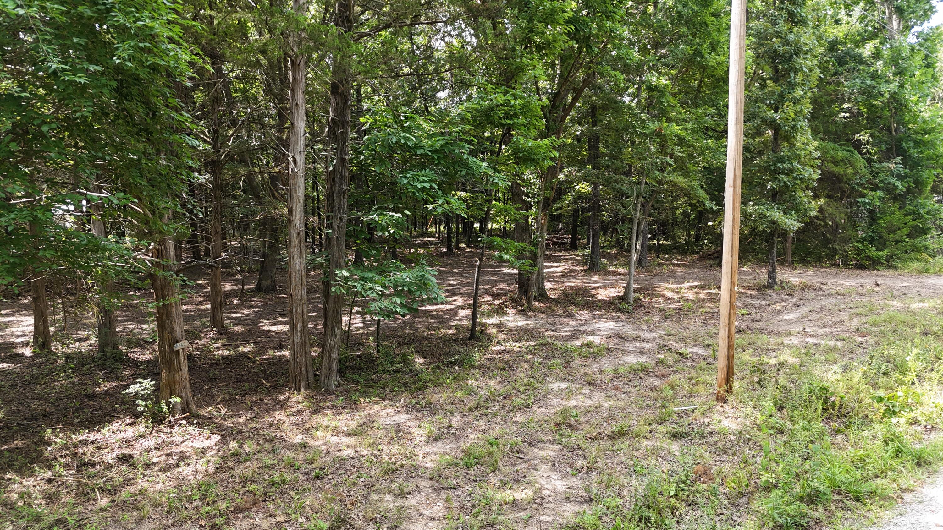 Photo 4 - Land for sale – 000  Deer Run Street  Shell Knob, MO