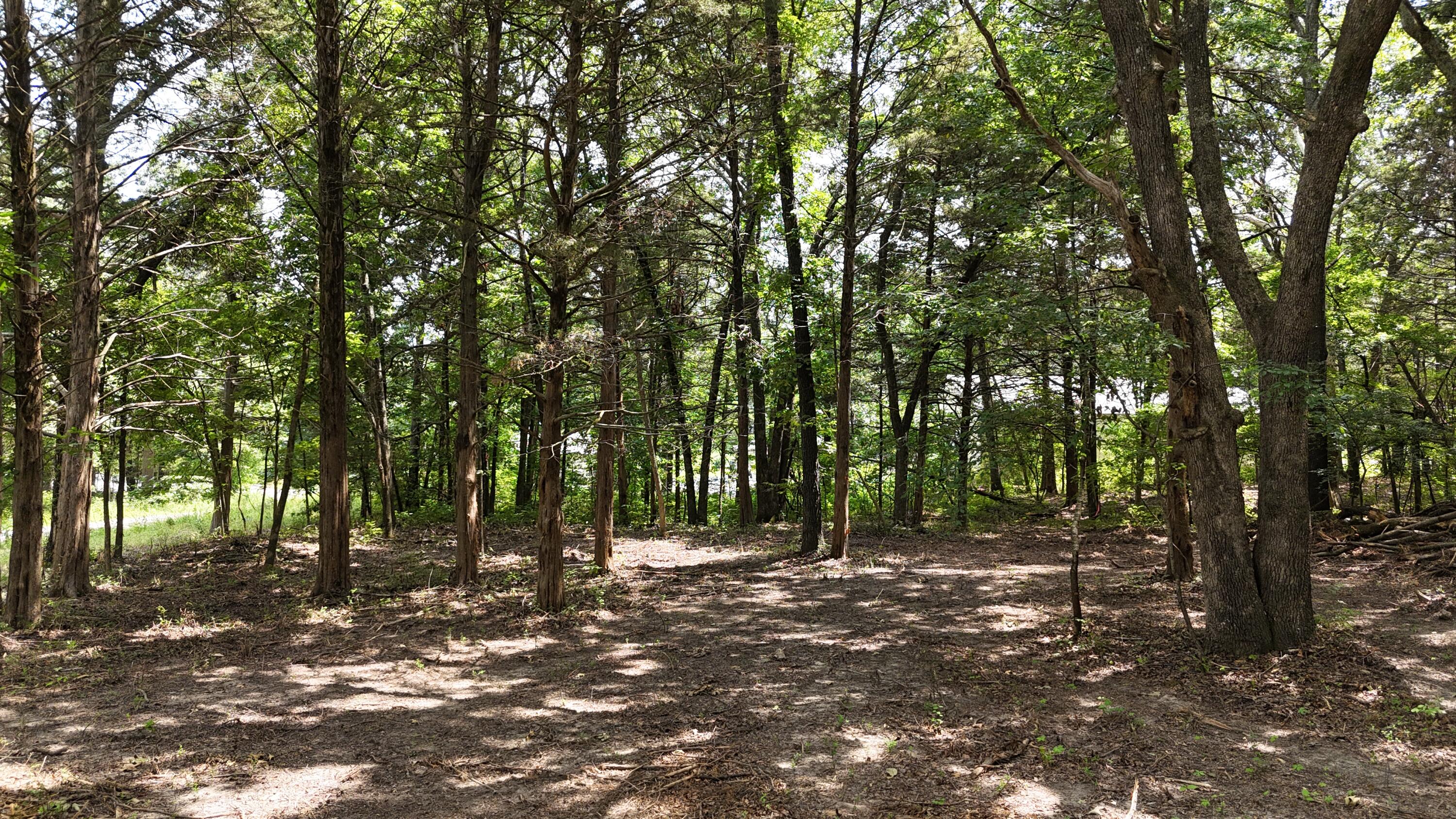 Photo 10 - Land for sale – 000  Deer Run Street  Shell Knob, MO