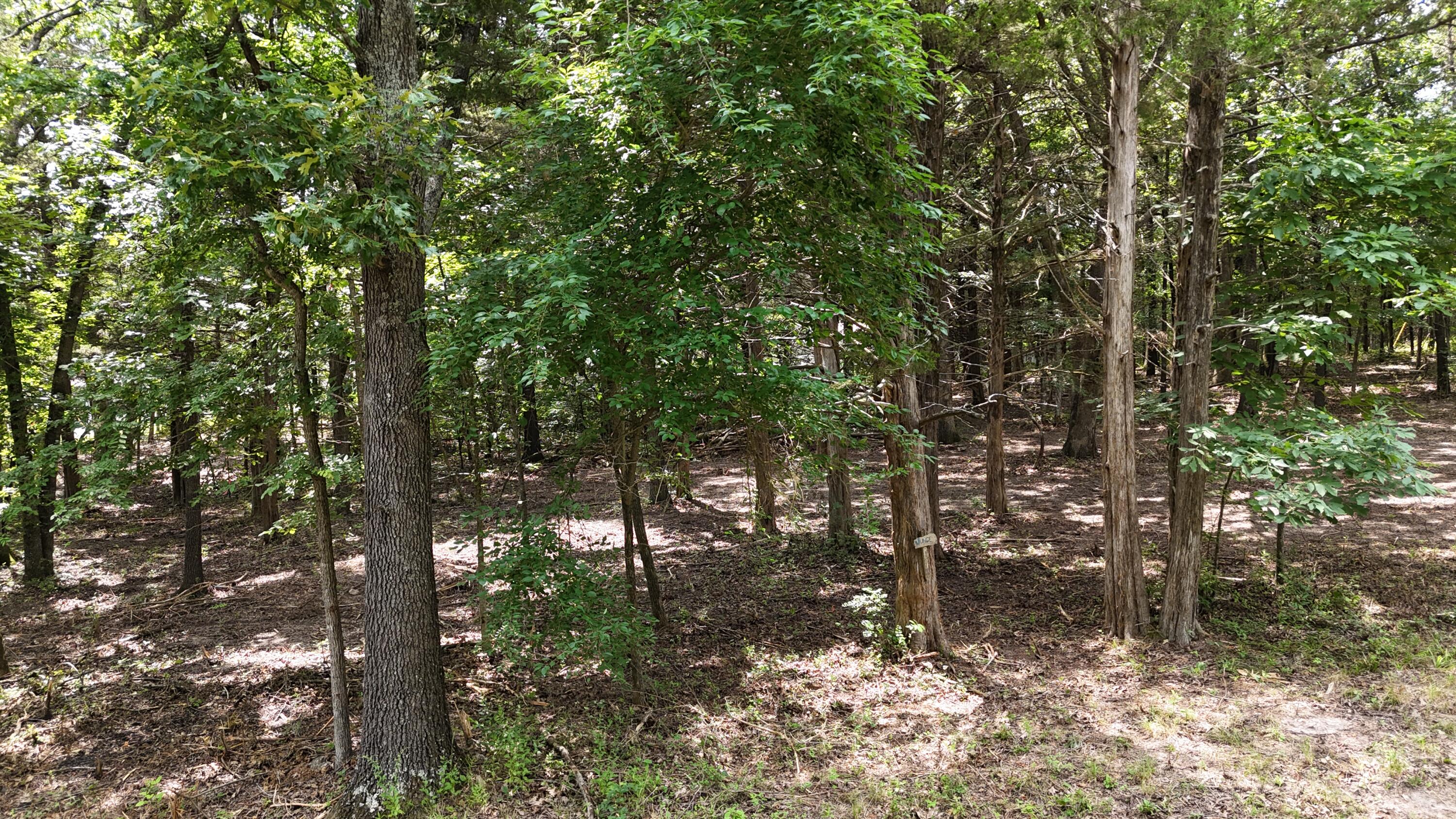 Photo 5 - Land for sale – 000  Deer Run Street  Shell Knob, MO