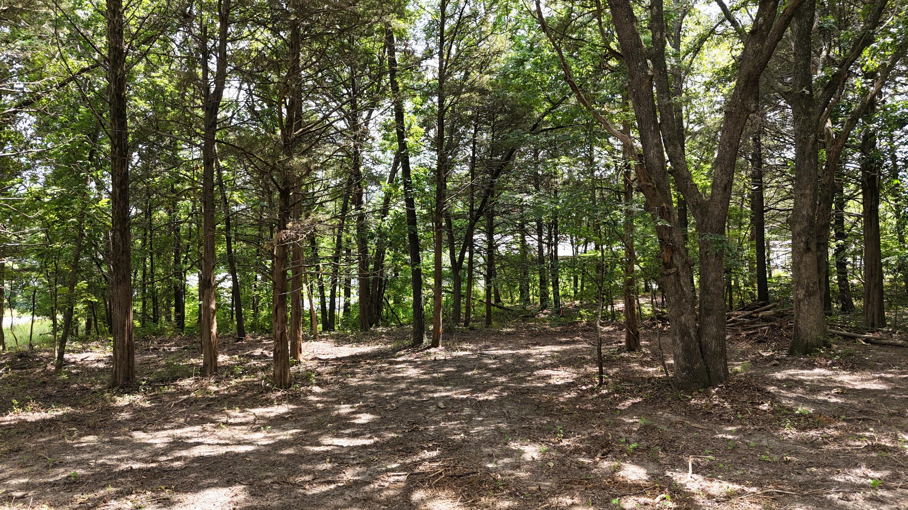 Photo 8 - Land for sale – 000  Deer Run Street  Shell Knob, MO