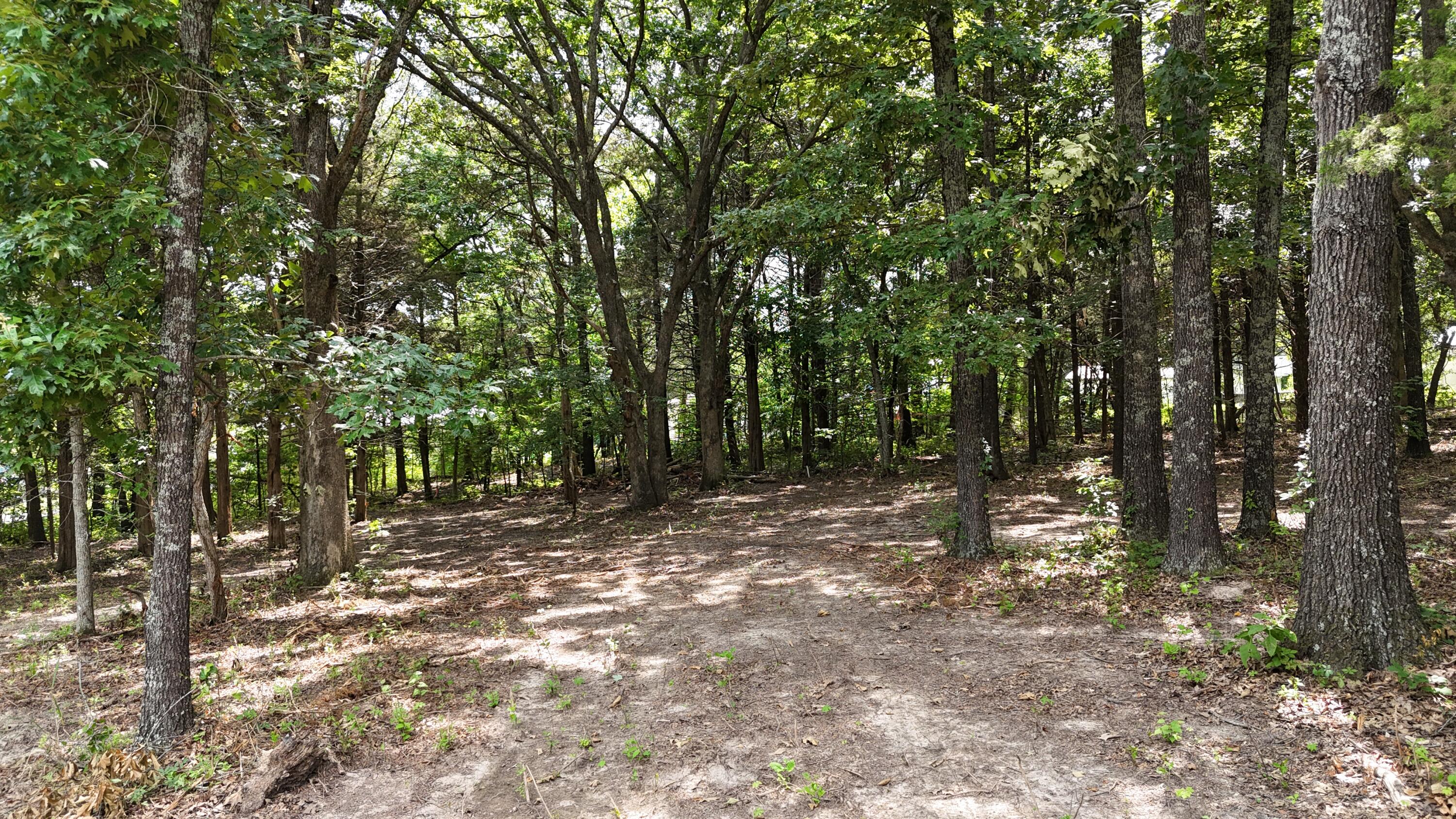 Photo 7 - Land for sale – 000  Deer Run Street  Shell Knob, MO