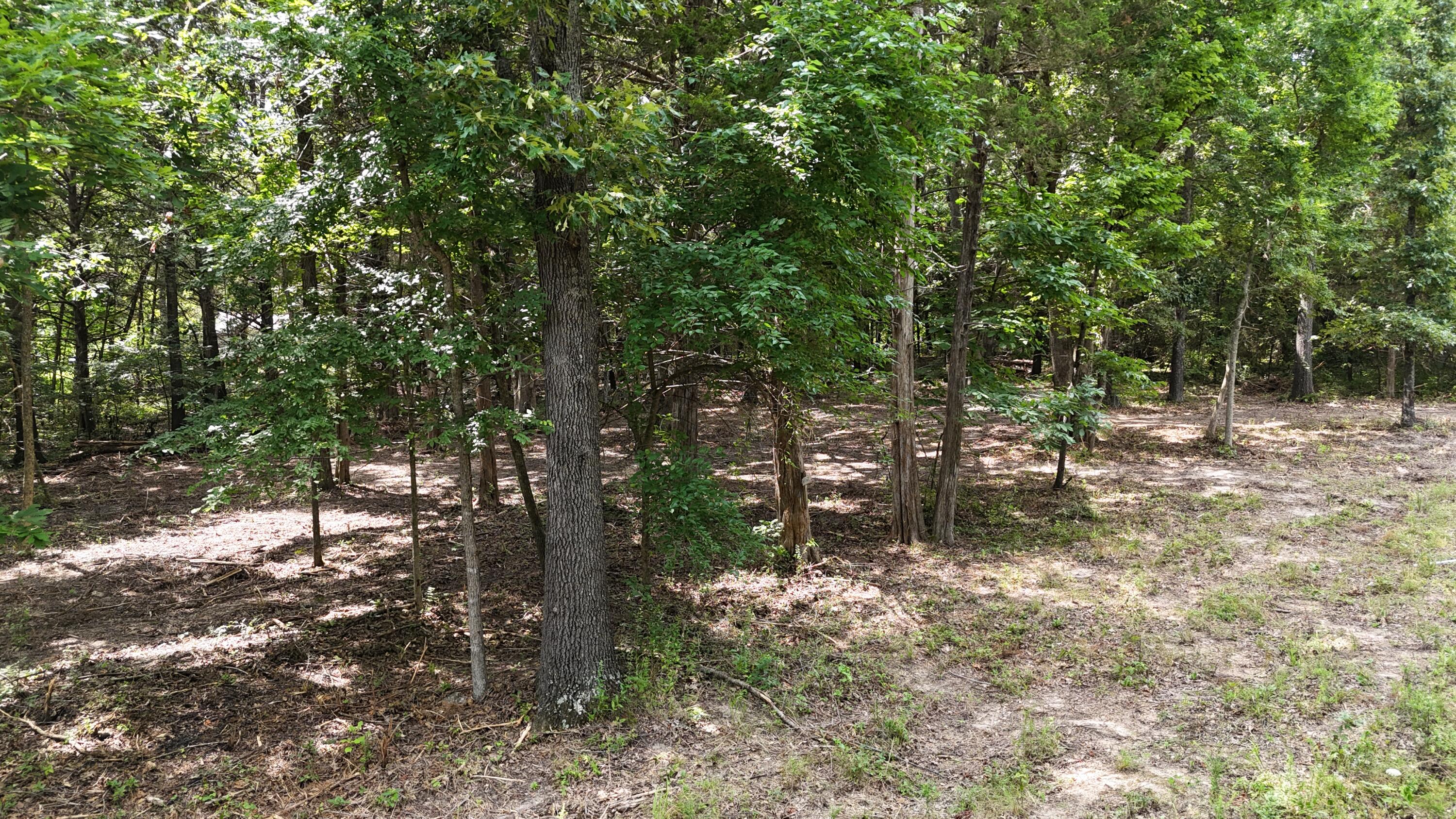Photo 6 - Land for sale – 000  Deer Run Street  Shell Knob, MO