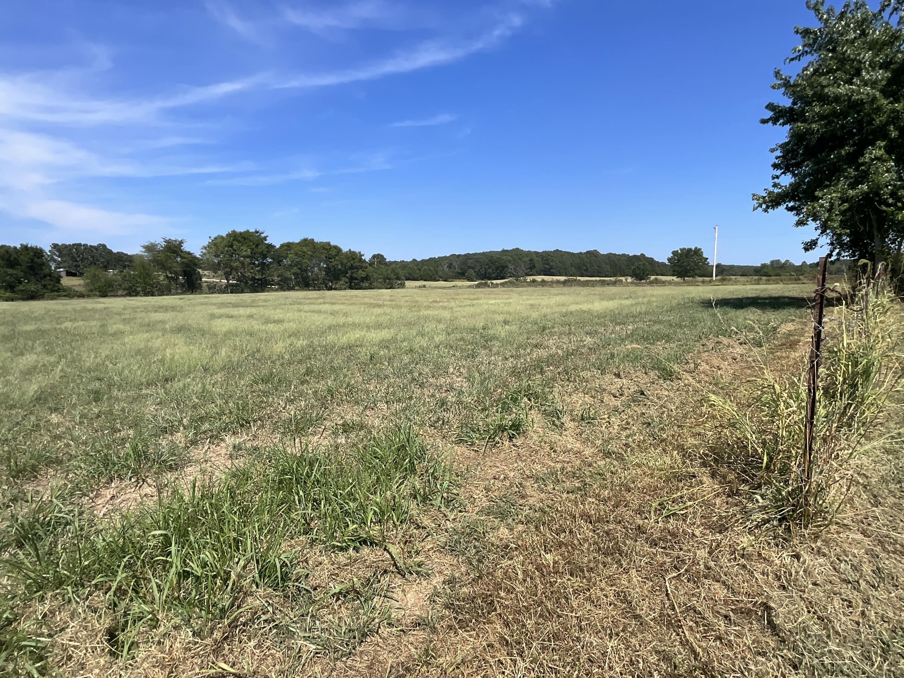 Photo 44 - Residential for sale – 9013  County Road 6750   West Plains, MO