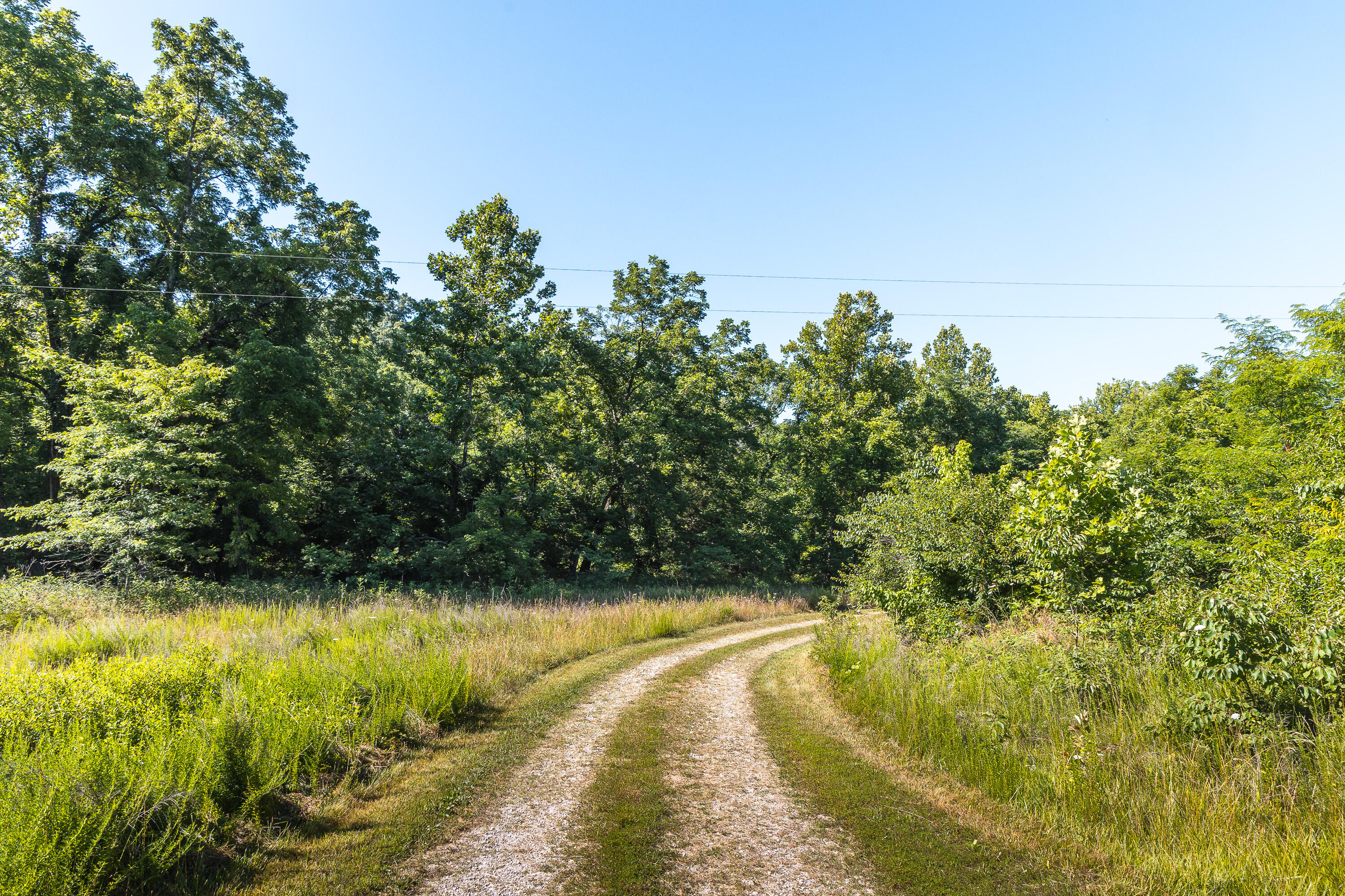 Photo 7 - Farm for sale – 57  Kountry Trails   Brumley, MO