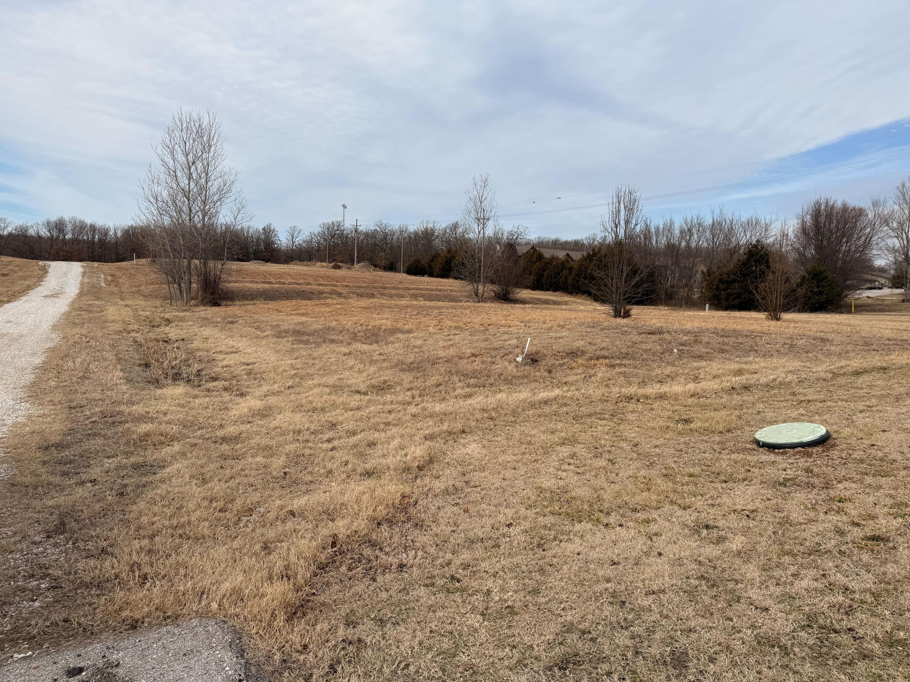 Photo 3 - Commercial Sale for sale – 000  Raintree   Loma Linda, MO