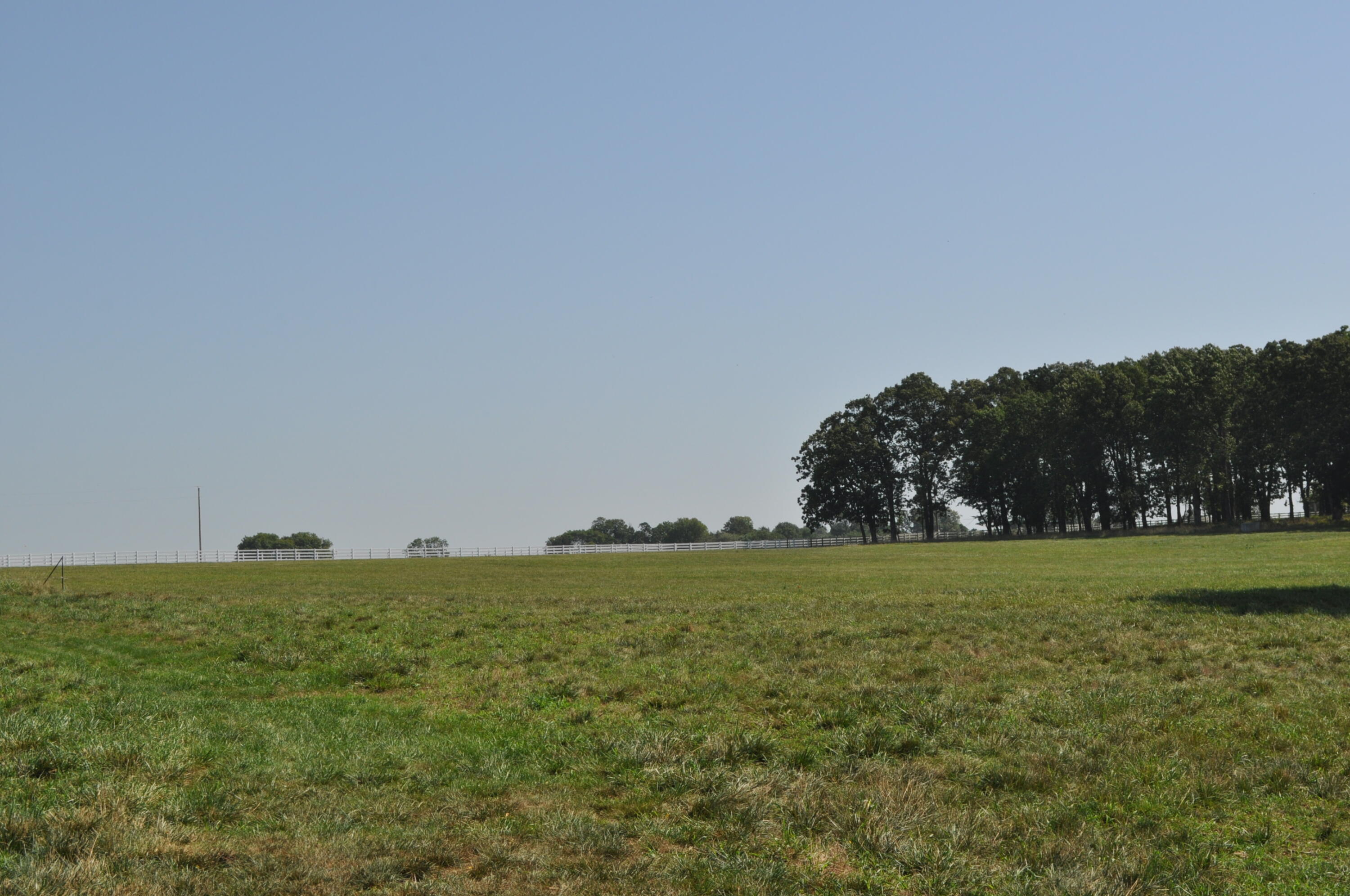 Photo 3 - Land for sale – Tract 4 N Farm Road 175   Springfield, MO