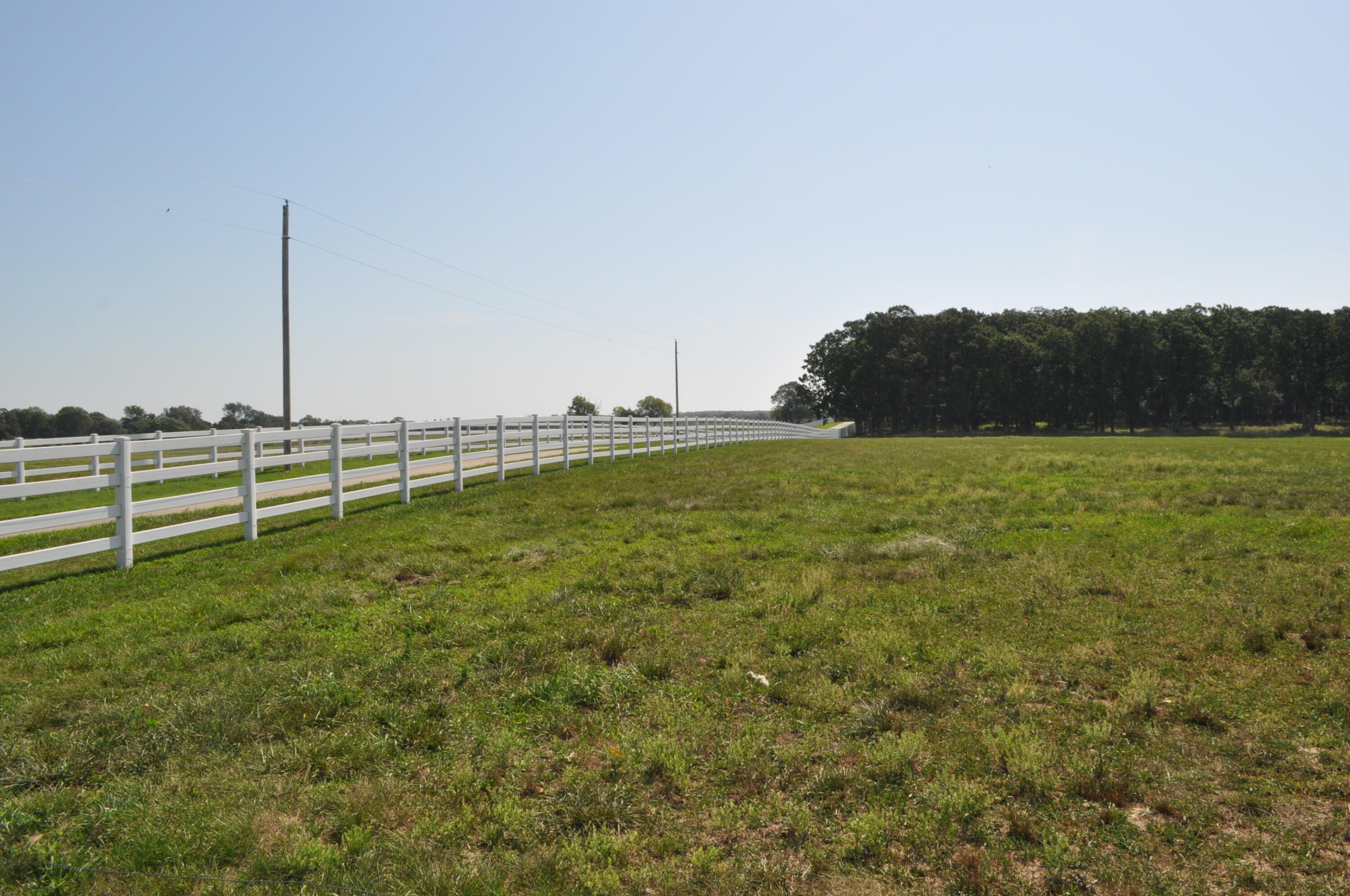 Photo 9 - Land for sale – Tract 4 N Farm Road 175   Springfield, MO