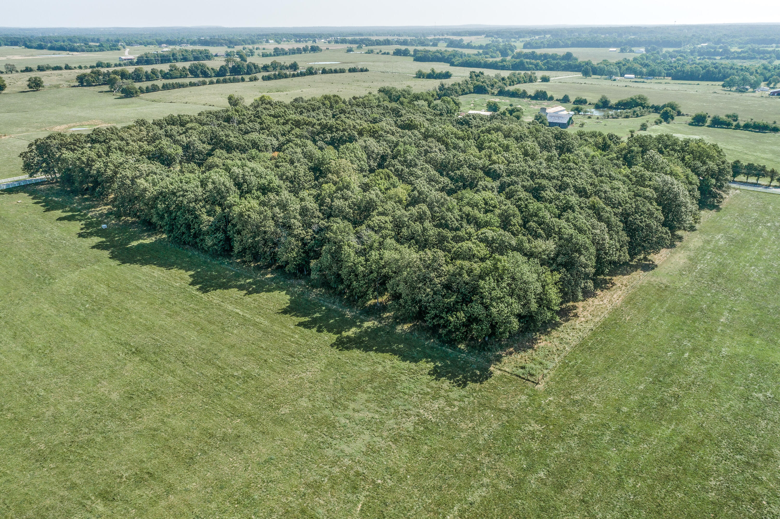 Photo 8 - Land for sale – Tract 4 N Farm Road 175   Springfield, MO