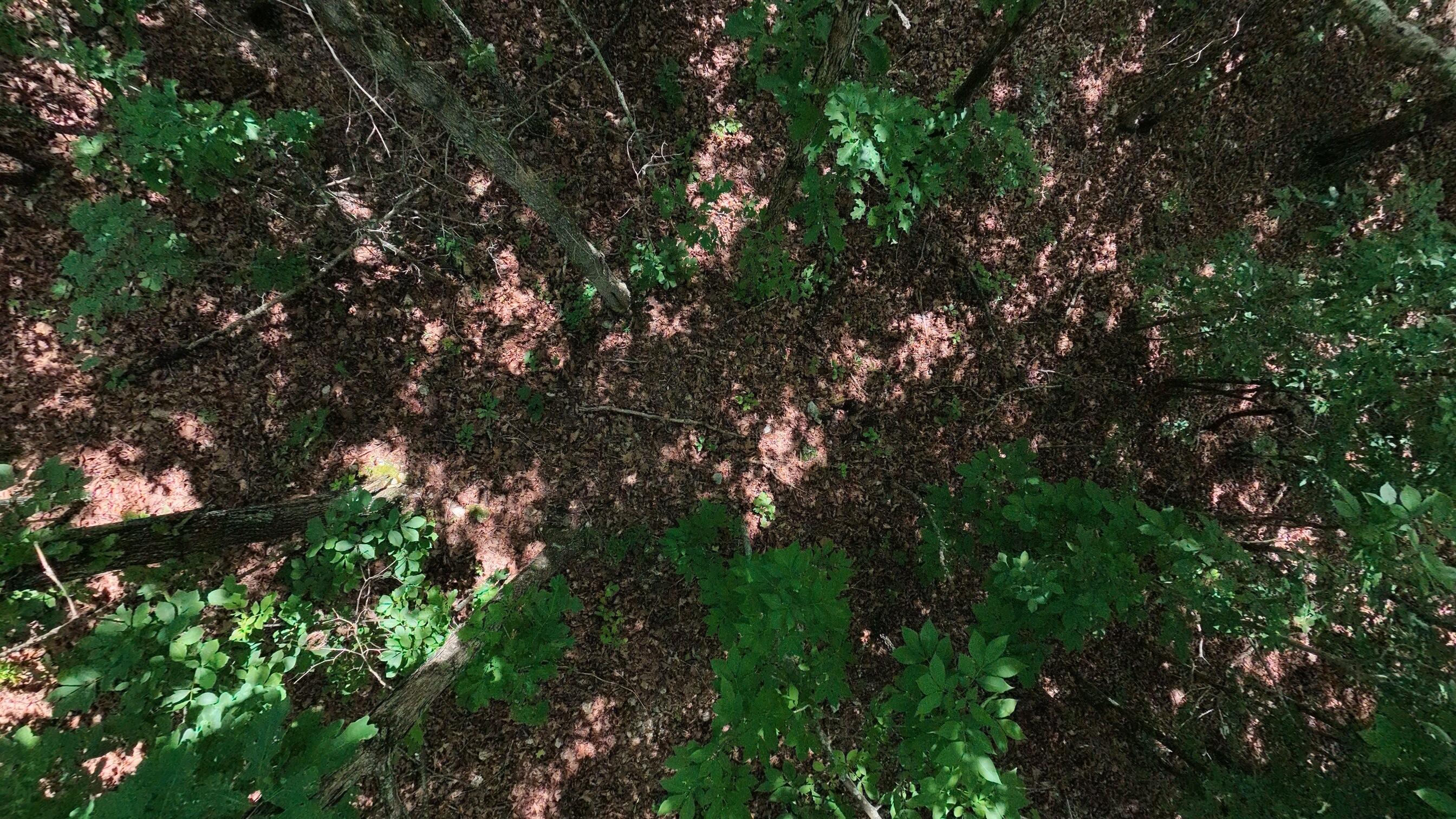Photo 21 - Land for sale – 000  Ridgehaven Road  Mammoth Spring, AR