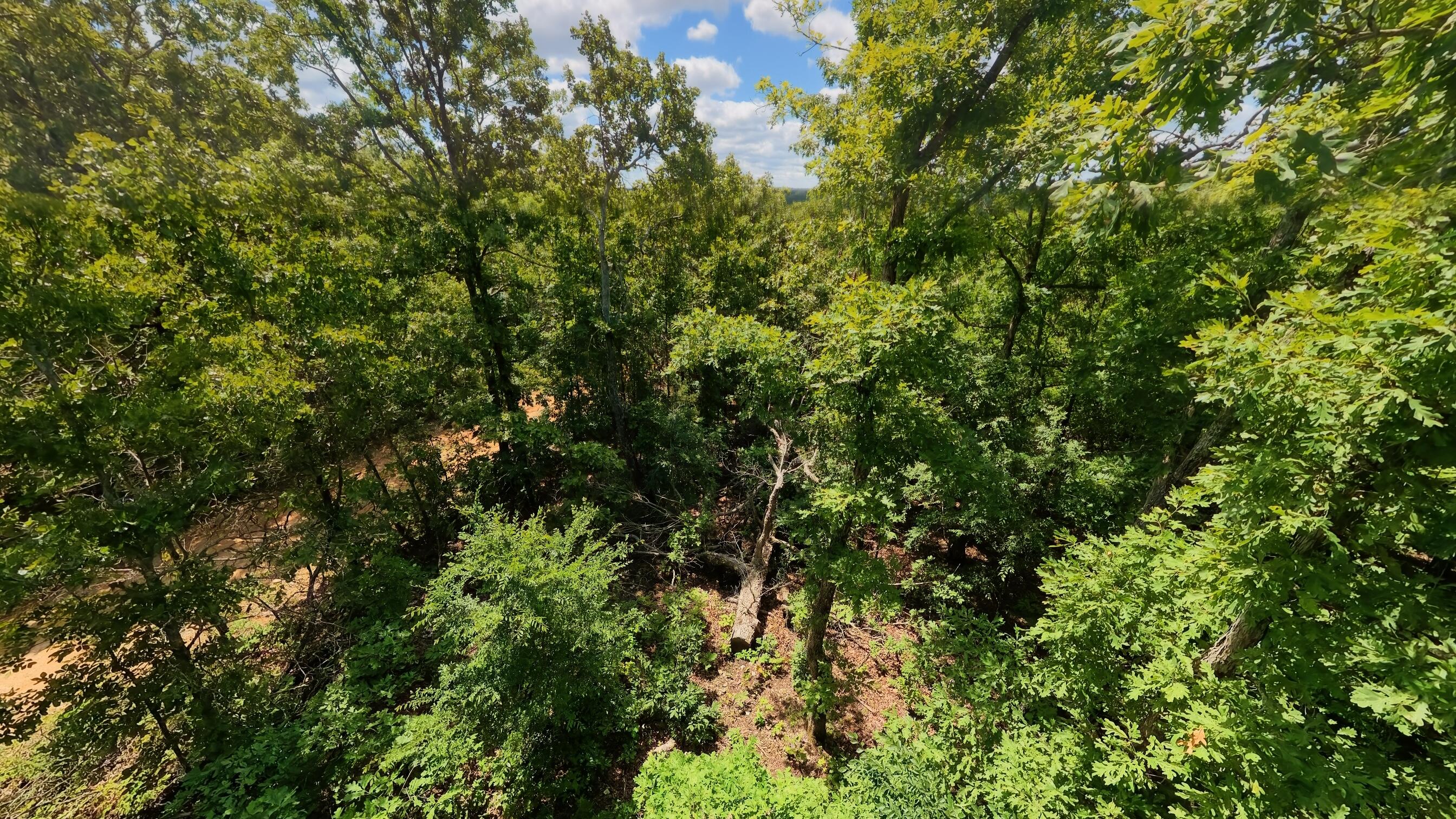 Photo 22 - Land for sale – 000  Ridgehaven Road  Mammoth Spring, AR