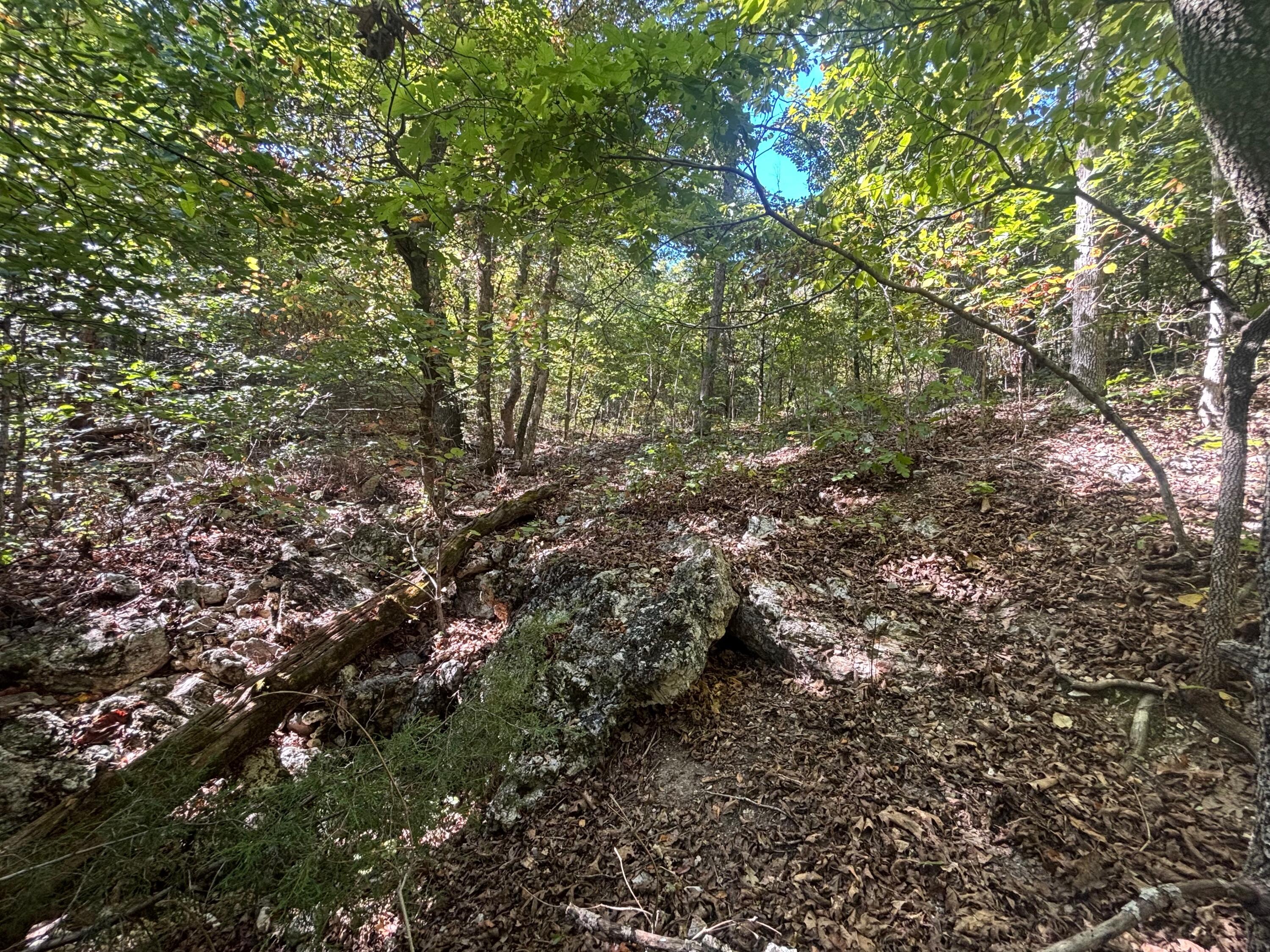 Photo 13 - Land for sale – 000  Ridgehaven Road  Mammoth Spring, AR
