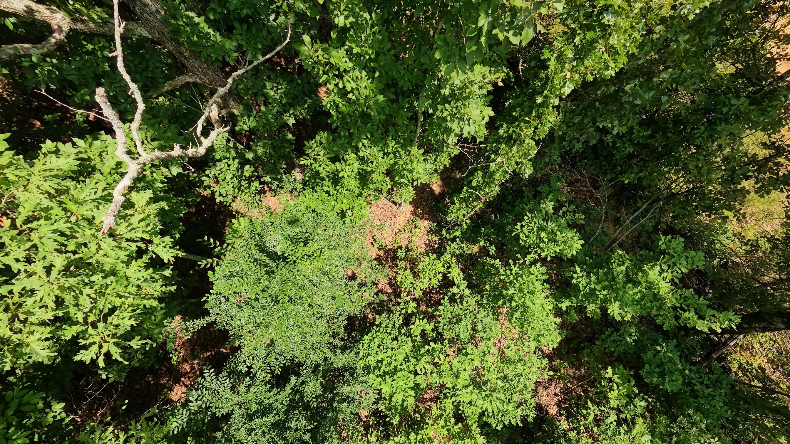 Photo 23 - Land for sale – 000  Ridgehaven Road  Mammoth Spring, AR