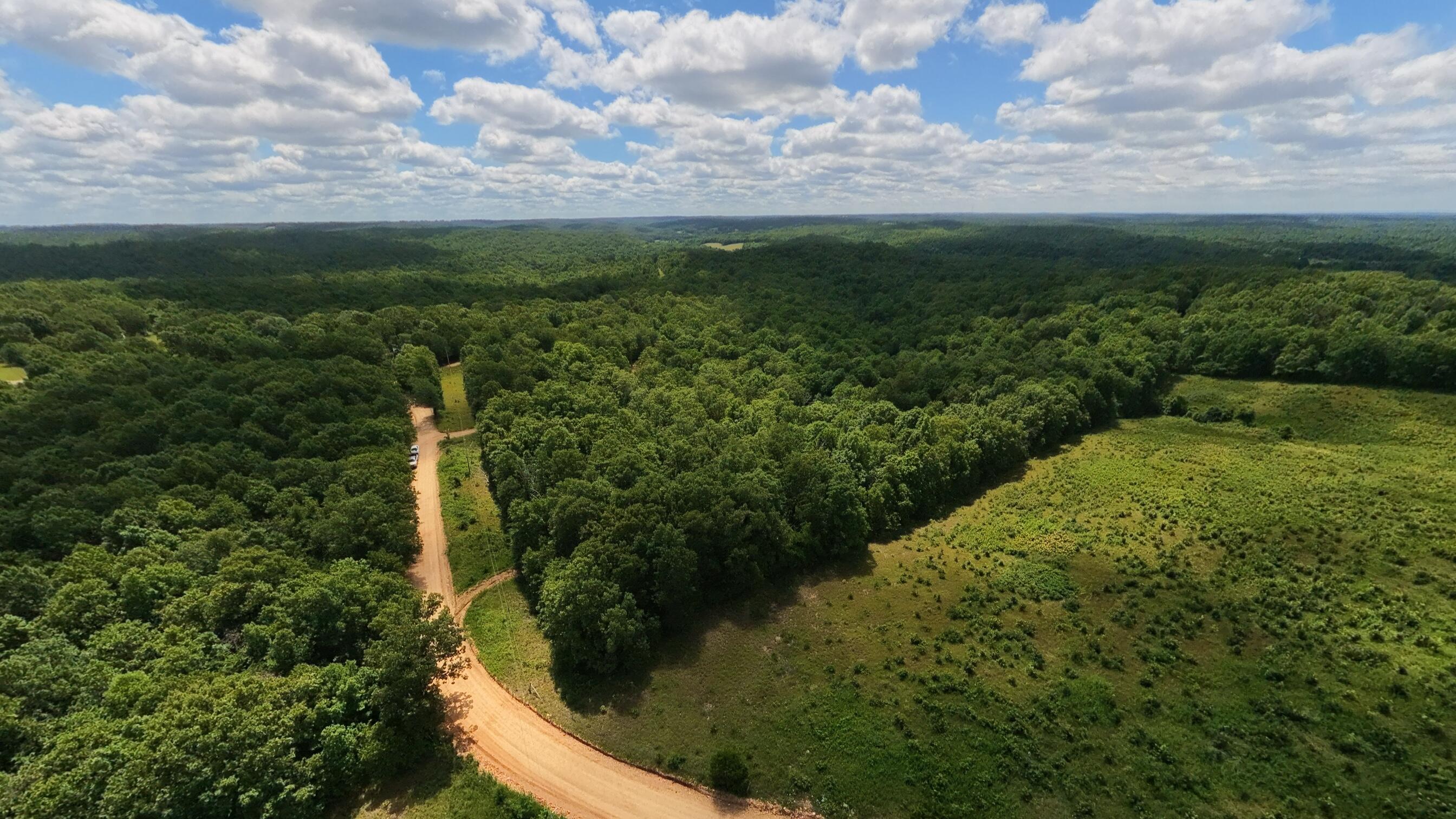 Photo 33 - Land for sale – 000  Ridgehaven Road  Mammoth Spring, AR